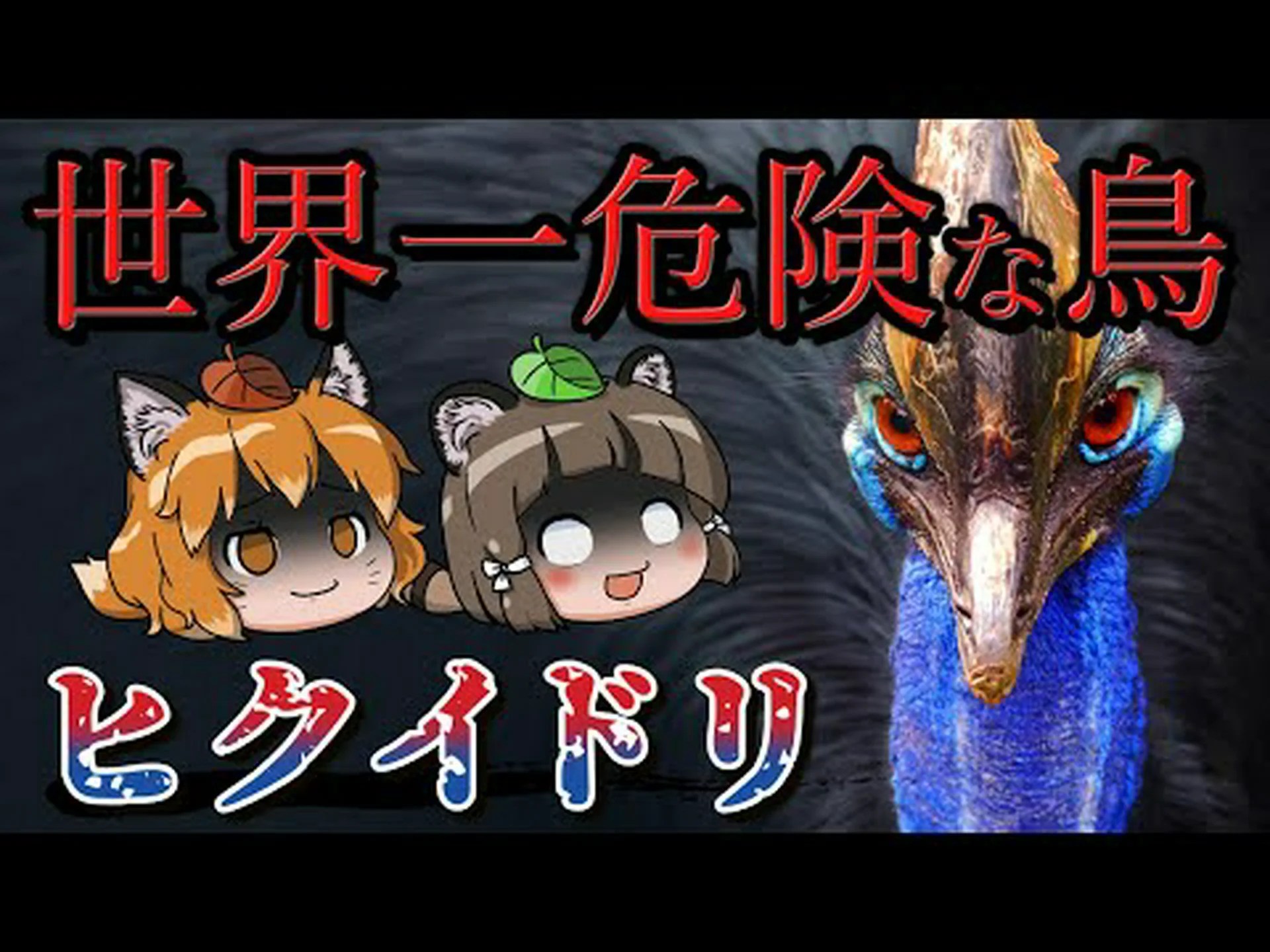 鋭い嗅覚を持つ果実を食べる原始的な鳥 鋭い嗅覚を持つ果実を食べる原始的な鳥