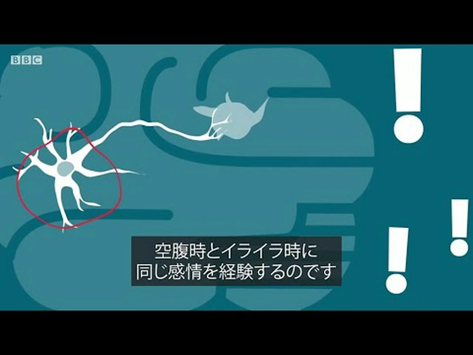 幸せになるとお腹が空く 幸せになるとお腹が空く