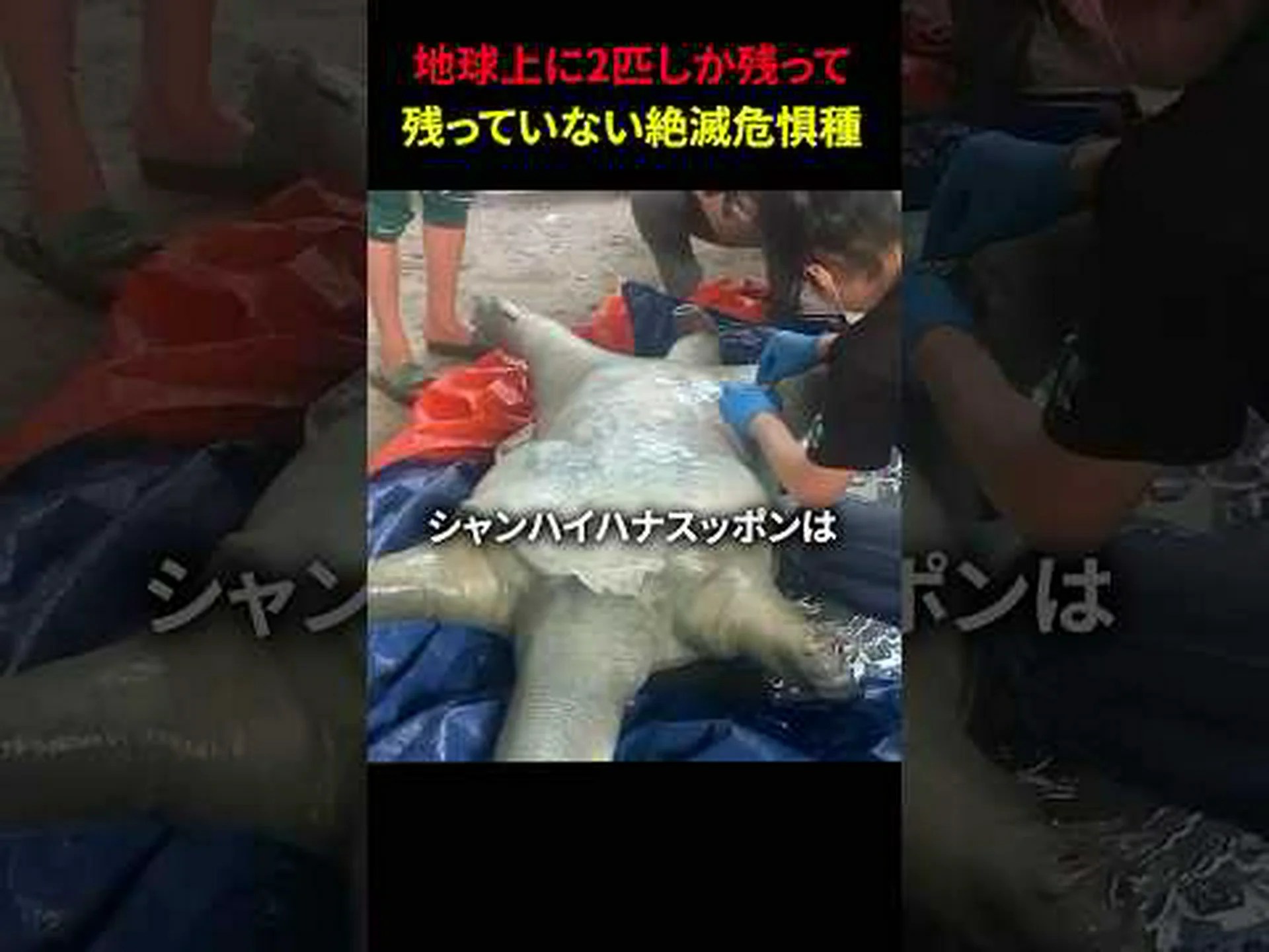 生息数: 870万種 生息数: 870万種