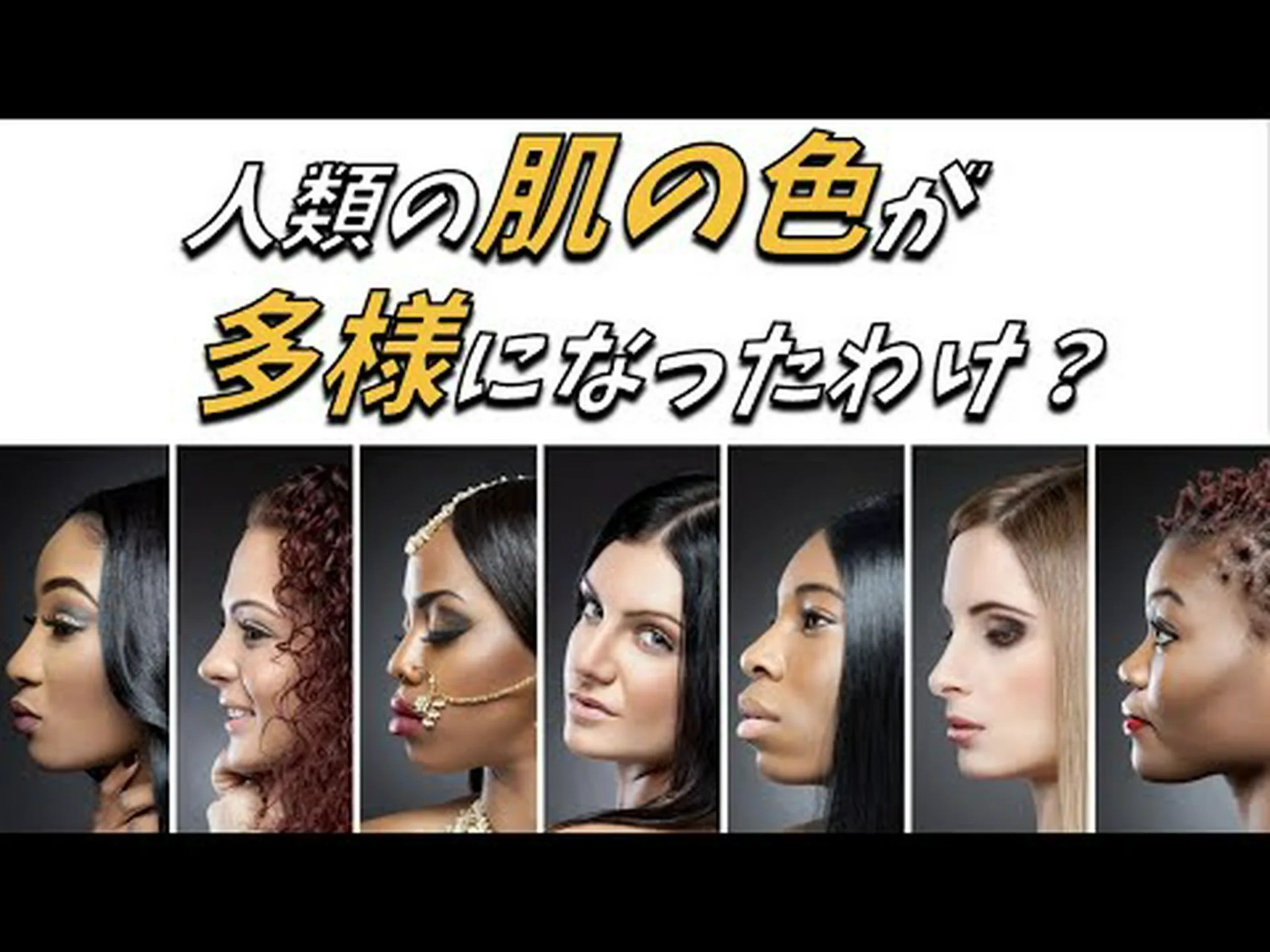 魚の遺伝子により、皮膚の色の理解に新たな光が当てられる 魚の遺伝子により、皮膚の色の理解に新たな光が当てられる