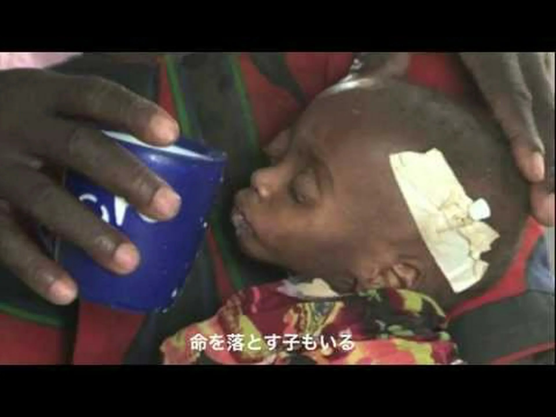 飢餓の成功 飢餓の成功