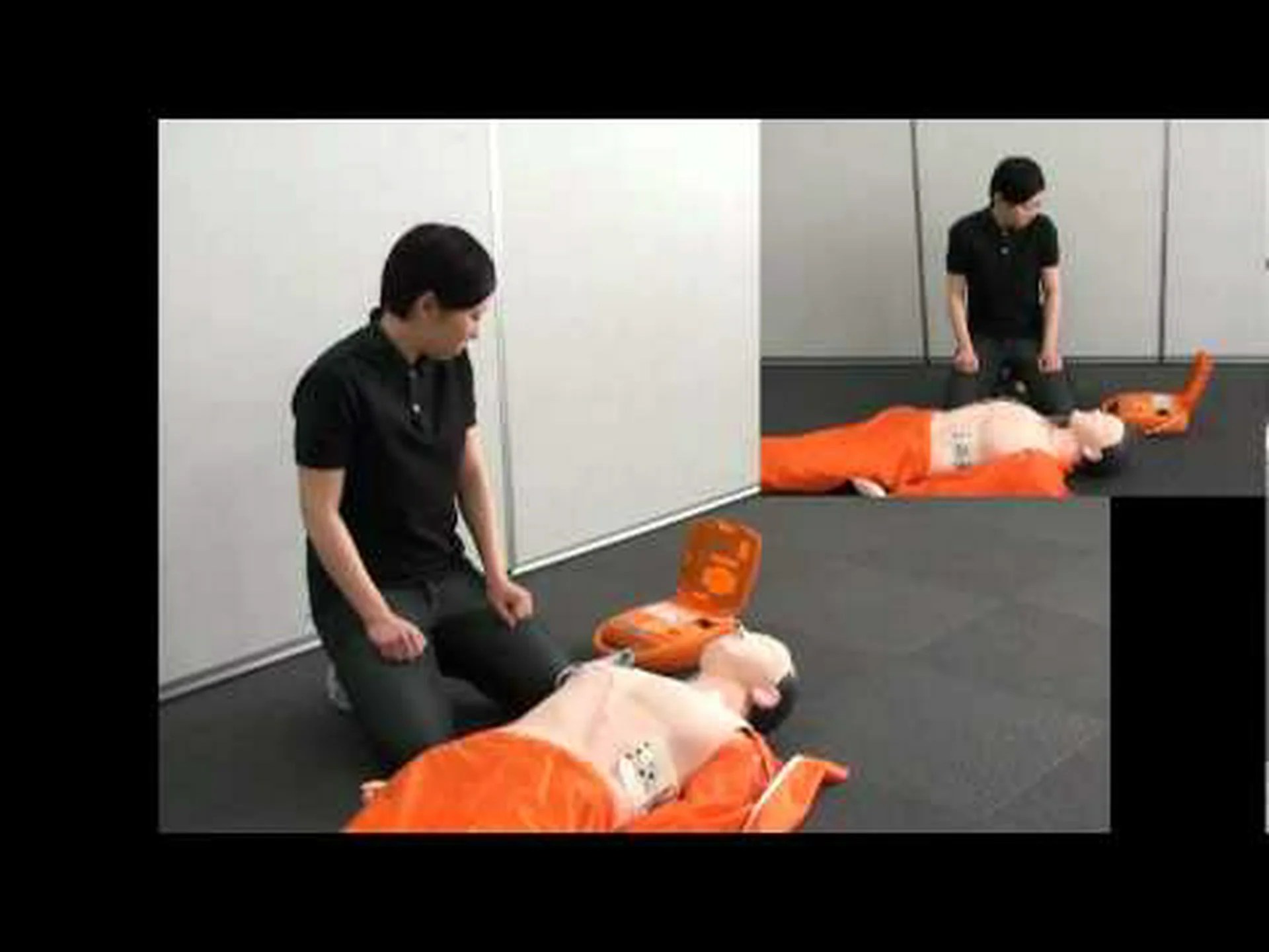 学習補助としての電気ショック 学習補助としての電気ショック