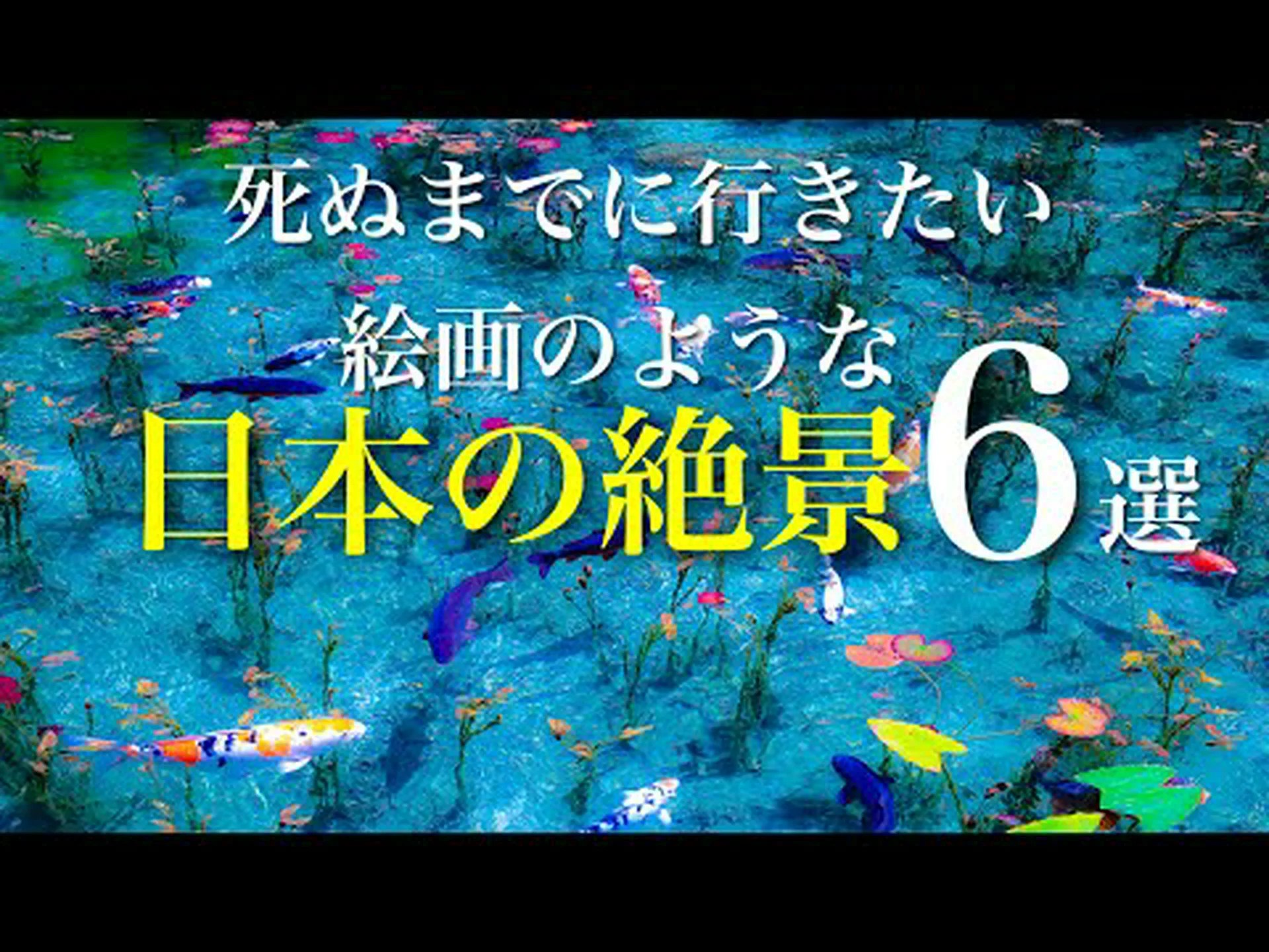 トンボの幻想的な旅 トンボの幻想的な旅