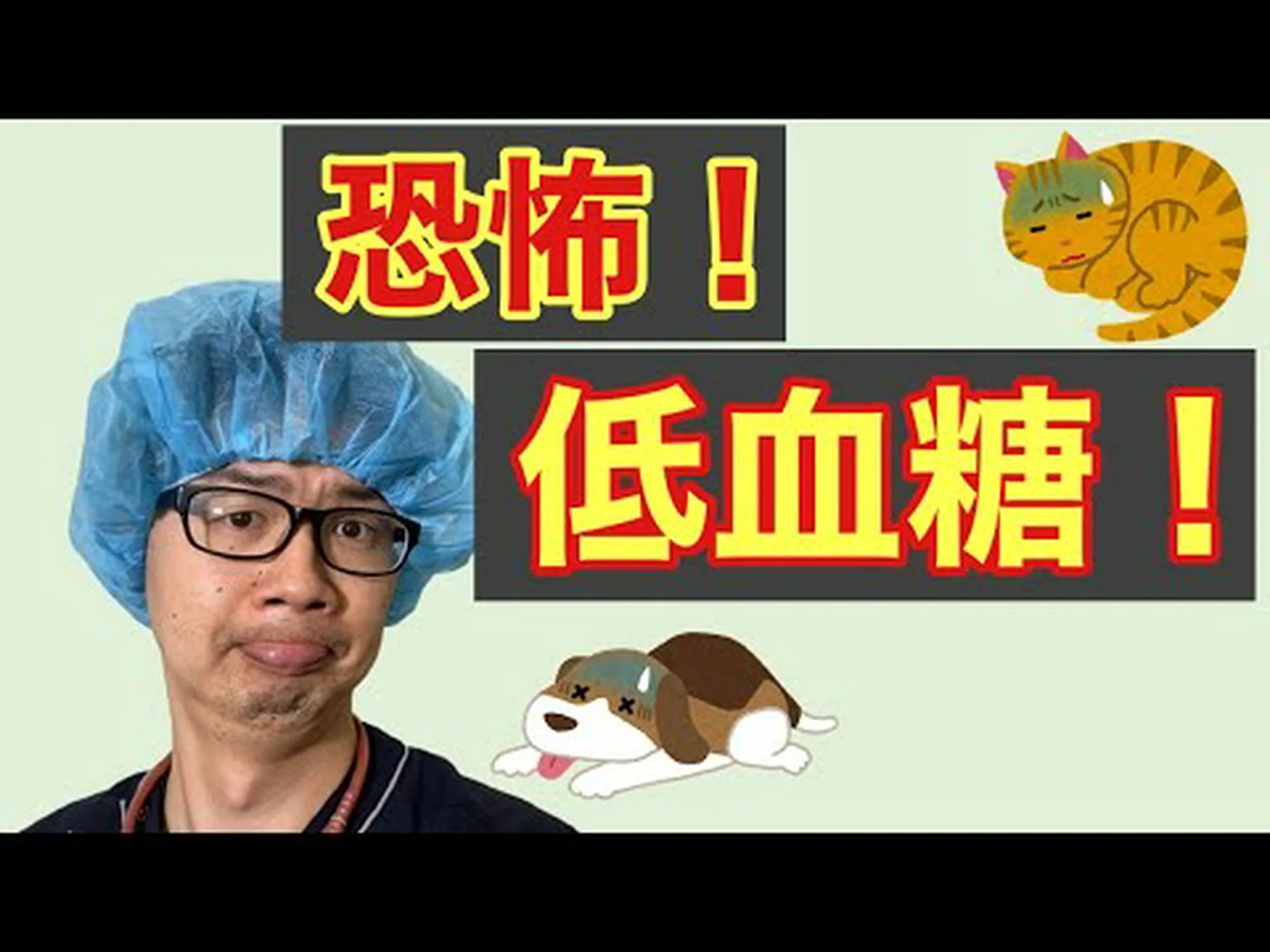 糖尿病 – 犬は低血糖について飼い主に警告する可能性がある 糖尿病 – 犬は低血糖について飼い主に警告する可能性がある