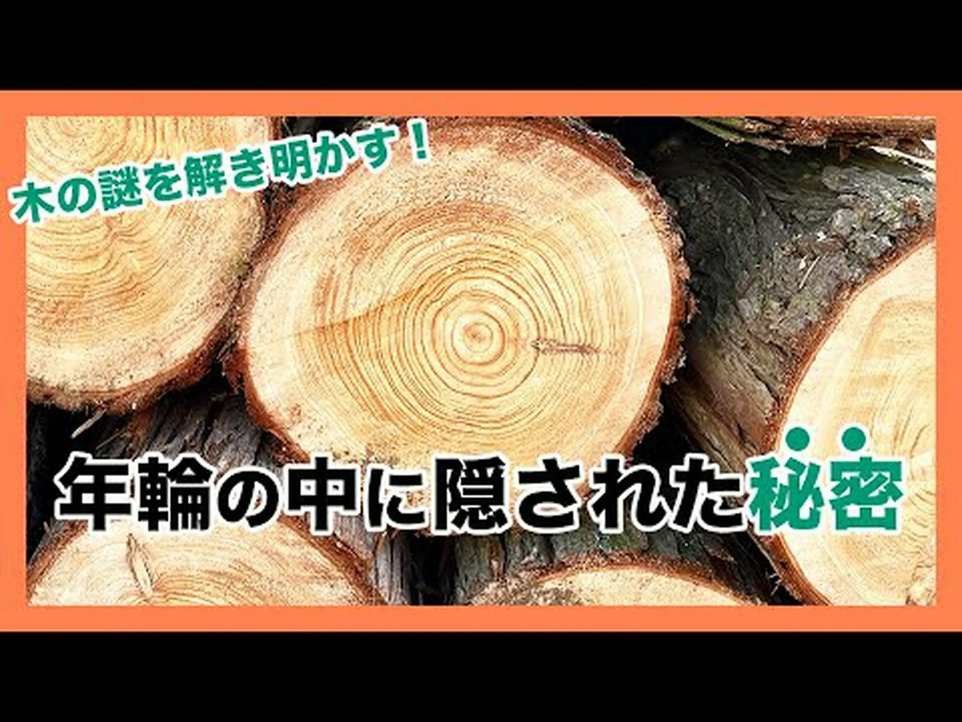 隠された年輪 隠された年輪