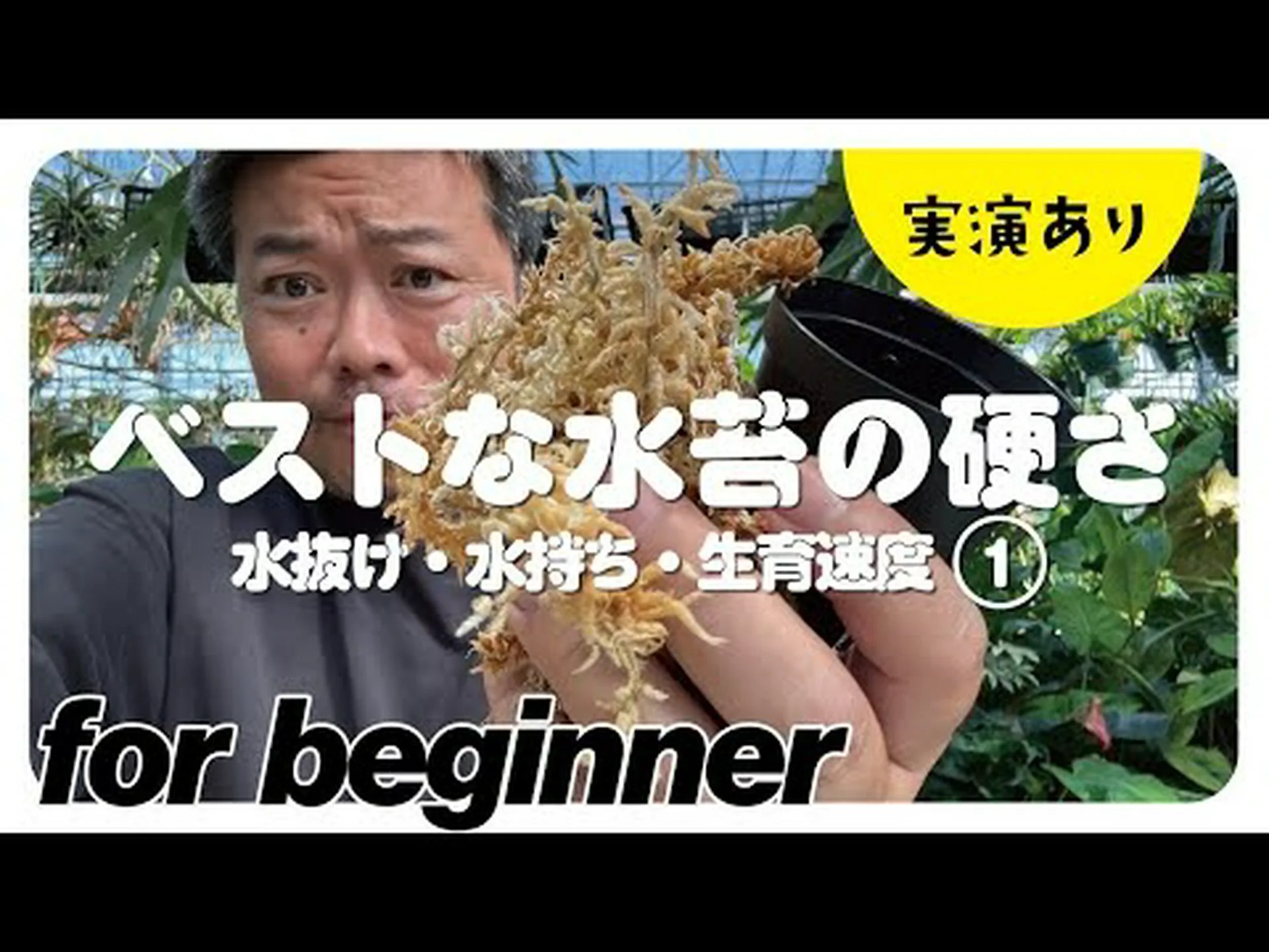 オオワシとミズゴケの オオワシとミズゴケの