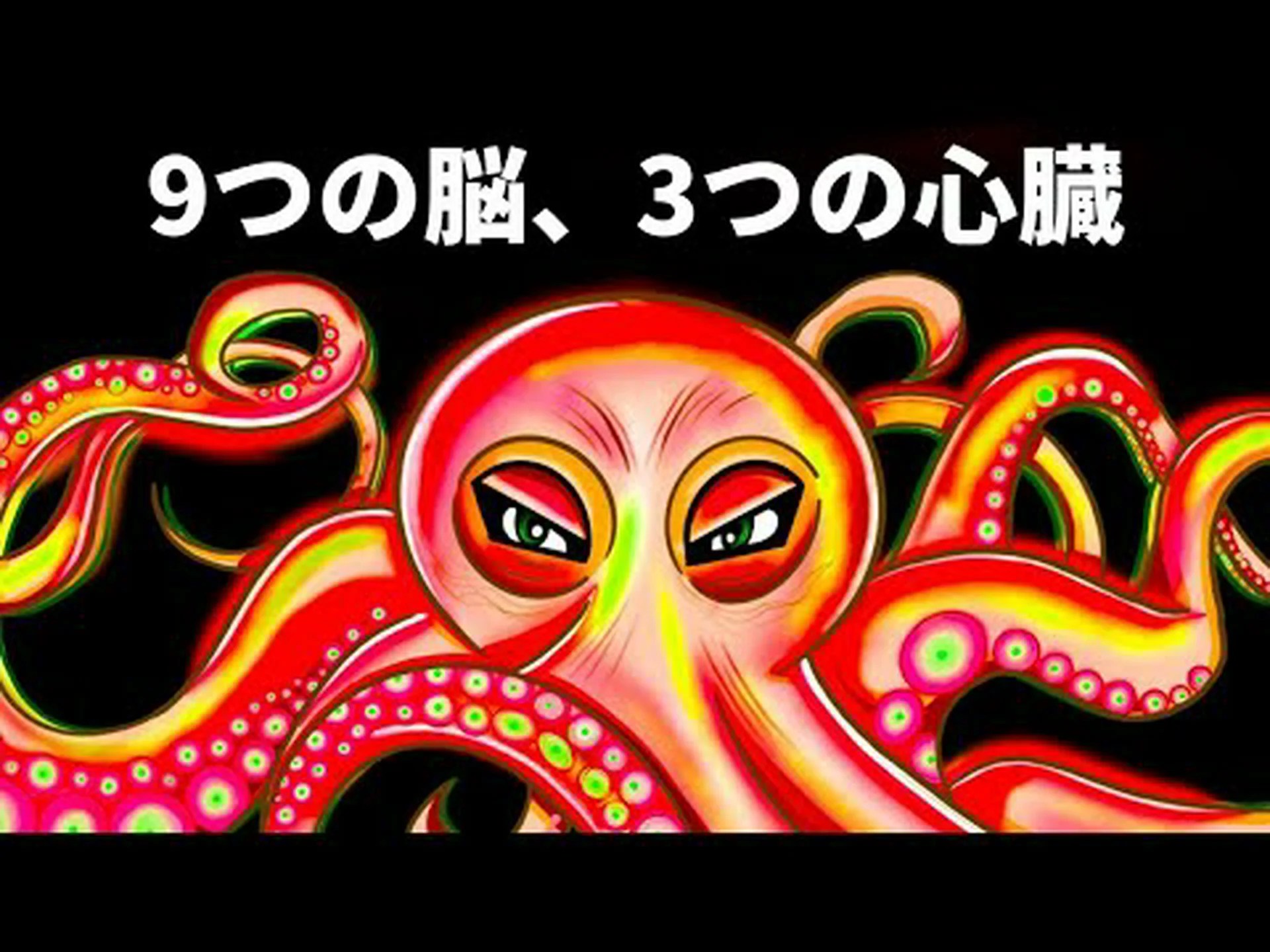タコの腕はなぜ絡まらないのか? タコの腕はなぜ絡まらないのか?