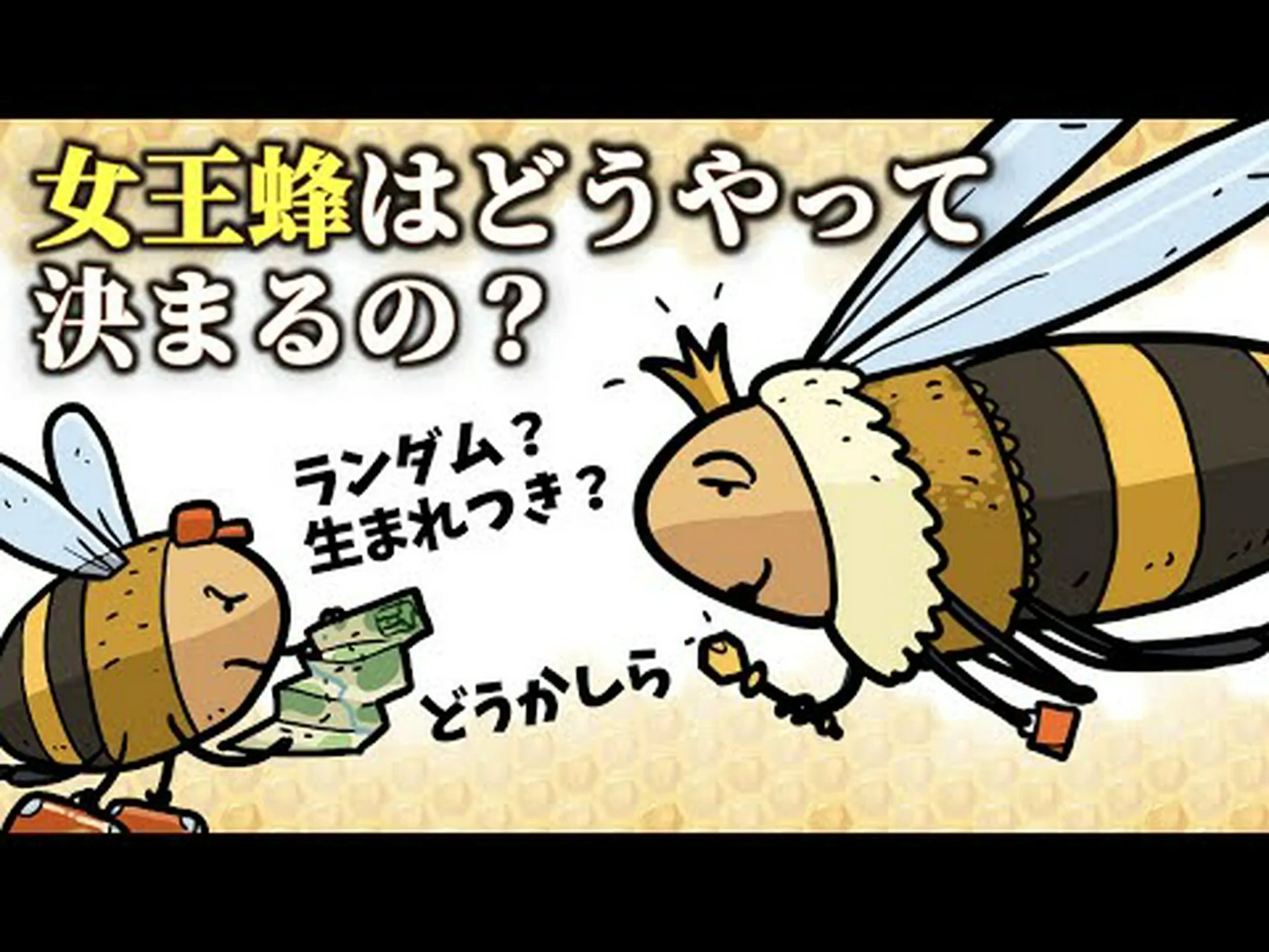 どれがミツバチを殺すのか どれがミツバチを殺すのか