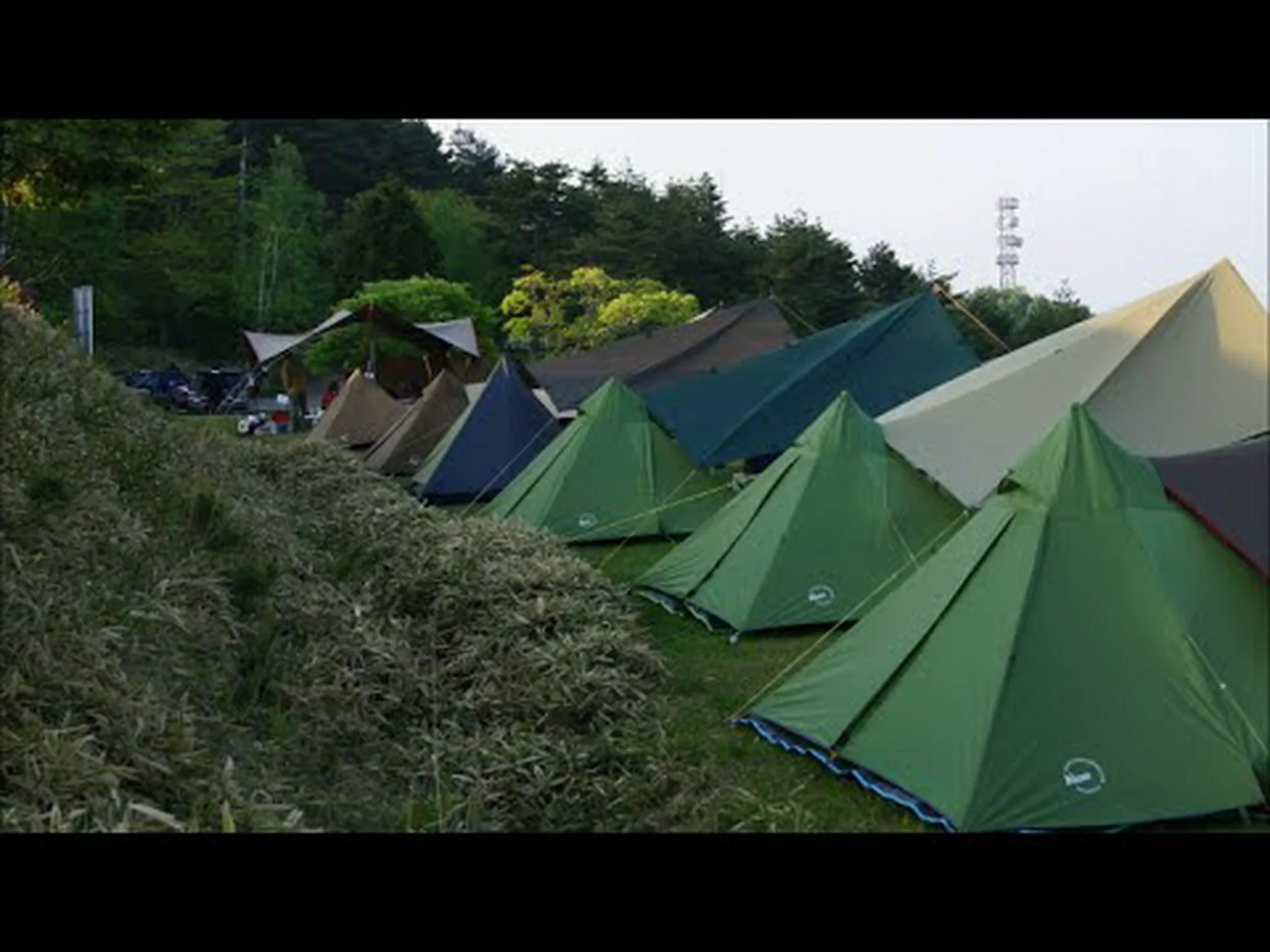 魅惑のチーム:ウツボとスズキ 魅惑のチーム:ウツボとスズキ