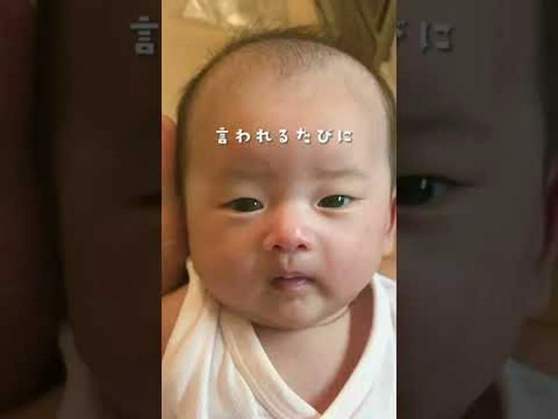 環境に優しい方法でギフトを包みます 環境に優しい方法でギフトを包みます