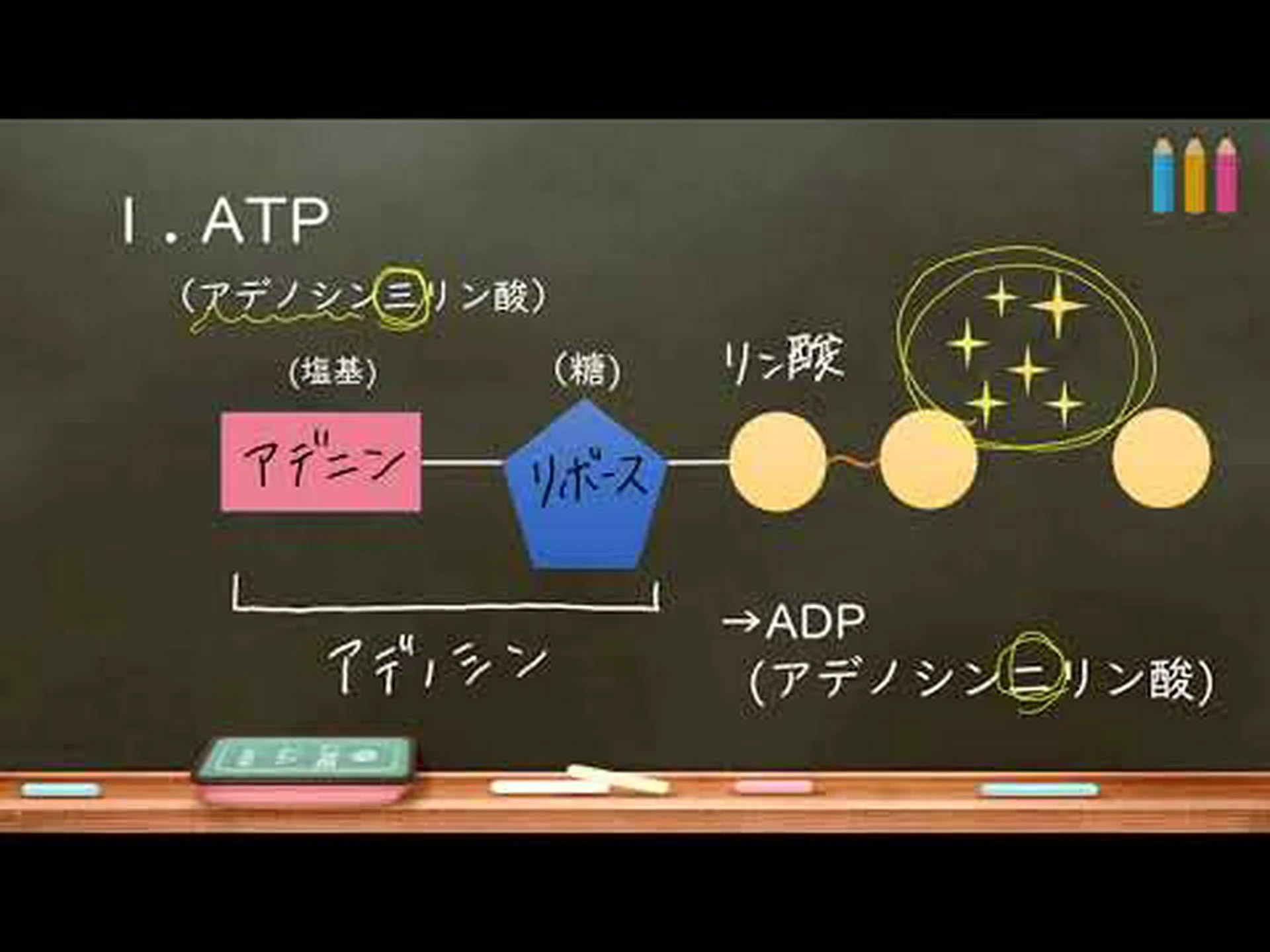 再構築された始原細胞の代謝 再構築された始原細胞の代謝