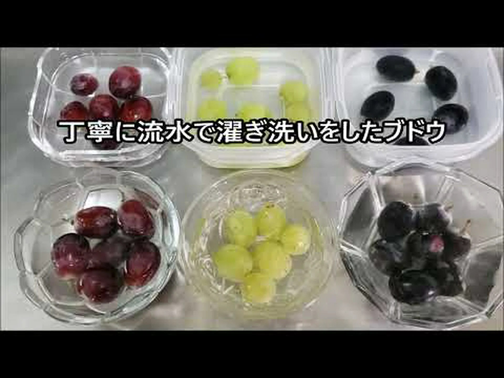 このようにして、ブドウ栽培で農薬を節約することができます このようにして、ブドウ栽培で農薬を節約することができます