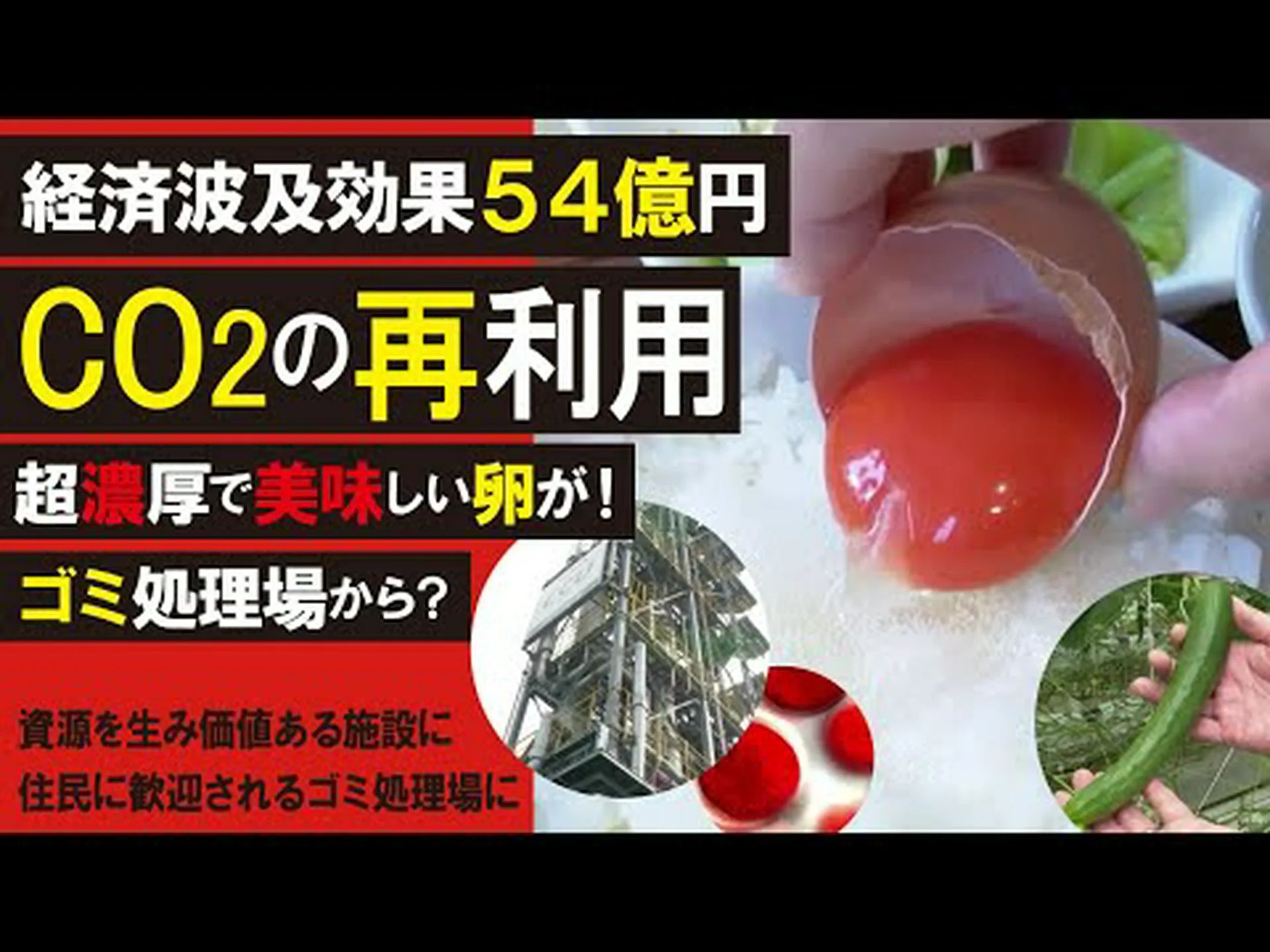 「金のなる木」としての藻類 「金のなる木」としての藻類