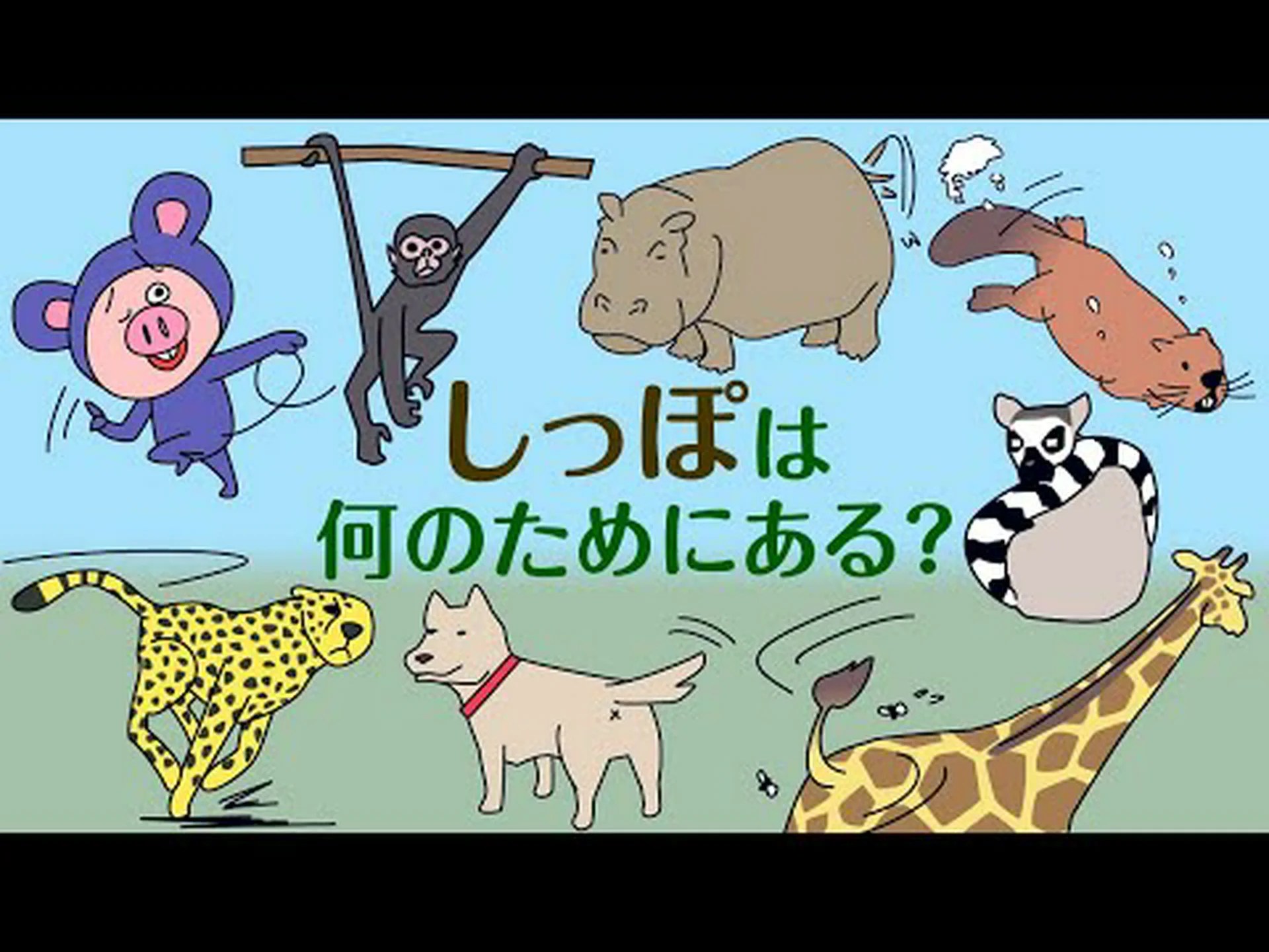 なぜ尻尾があるのか、それとも尻尾がないのか? なぜ尻尾があるのか、それとも尻尾がないのか?