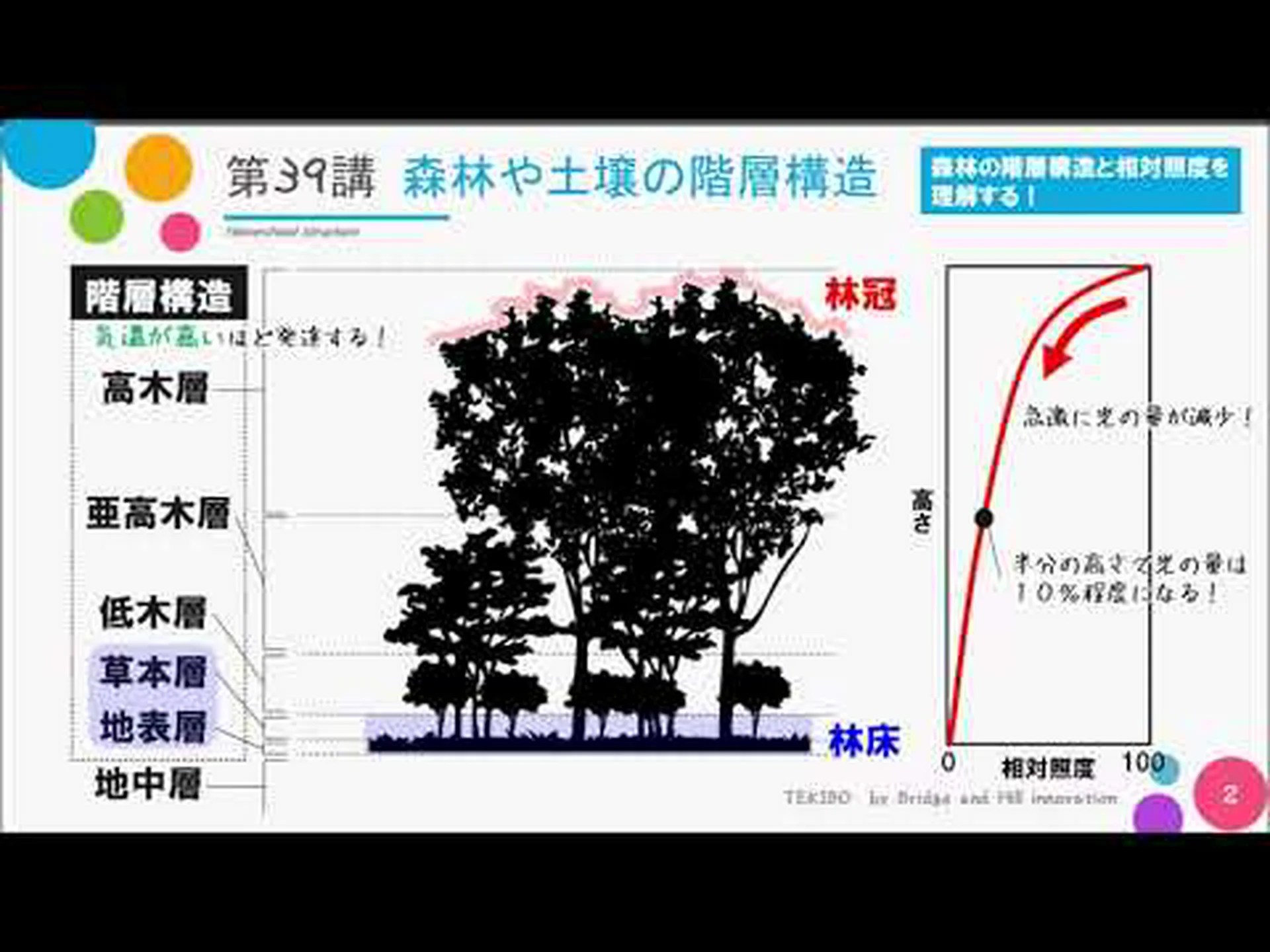 ヨーロッパの森林土壌は部分的には改善している ヨーロッパの森林土壌は部分的には改善している