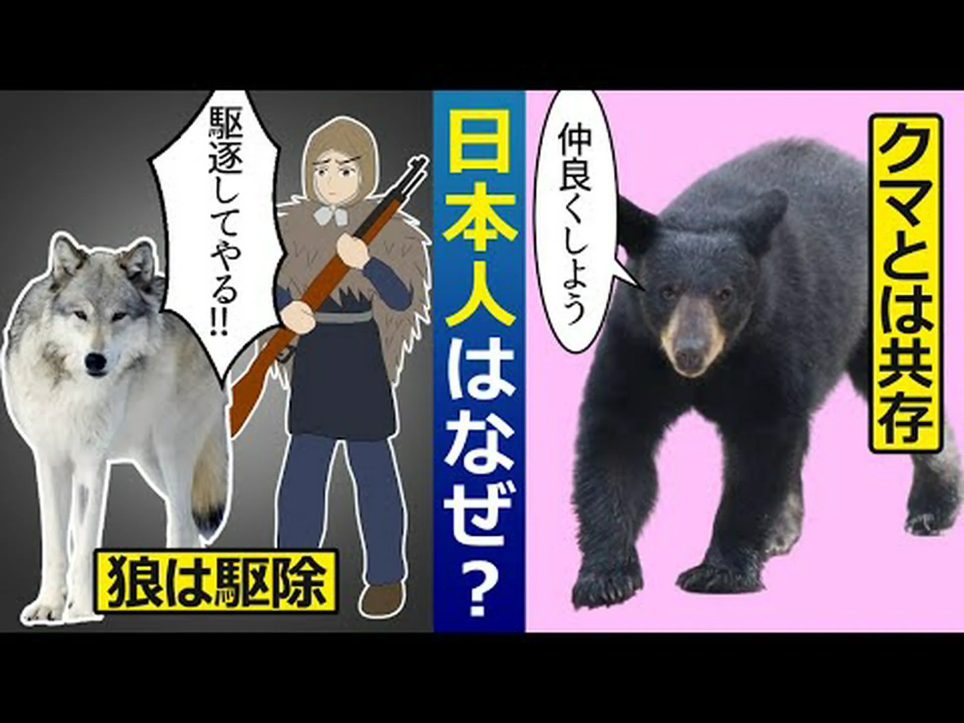 オオカミはリスクを取ることをいとわない オオカミはリスクを取ることをいとわない