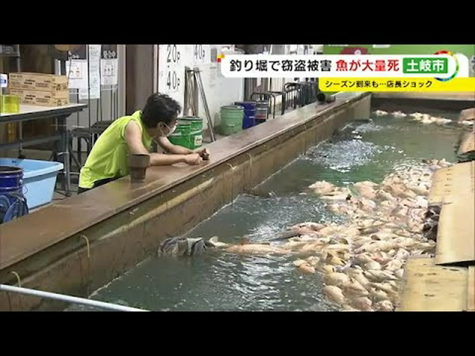 携帯電話の中の魚 携帯電話の中の魚