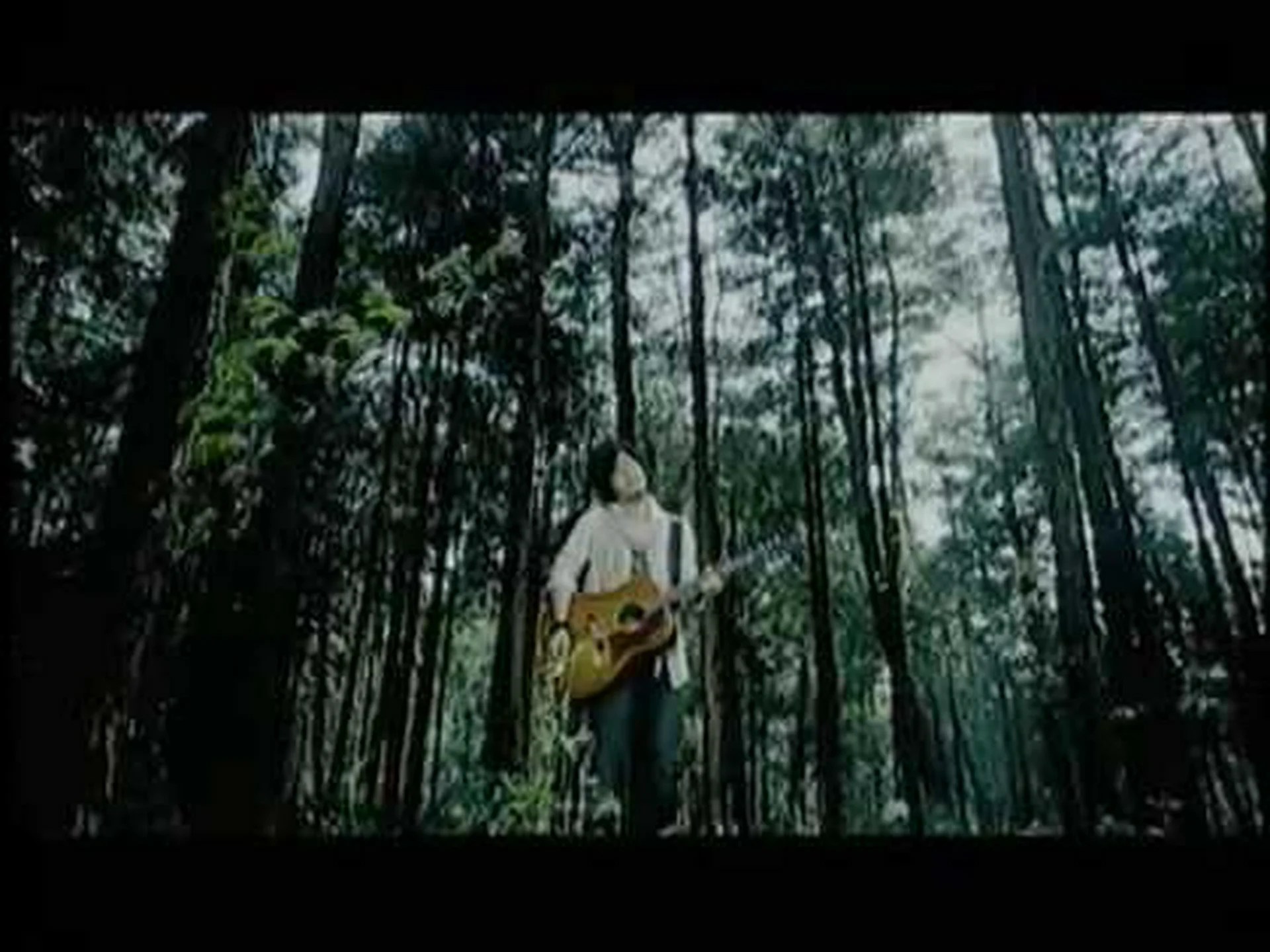 鱗が羽に変わった 鱗が羽に変わった