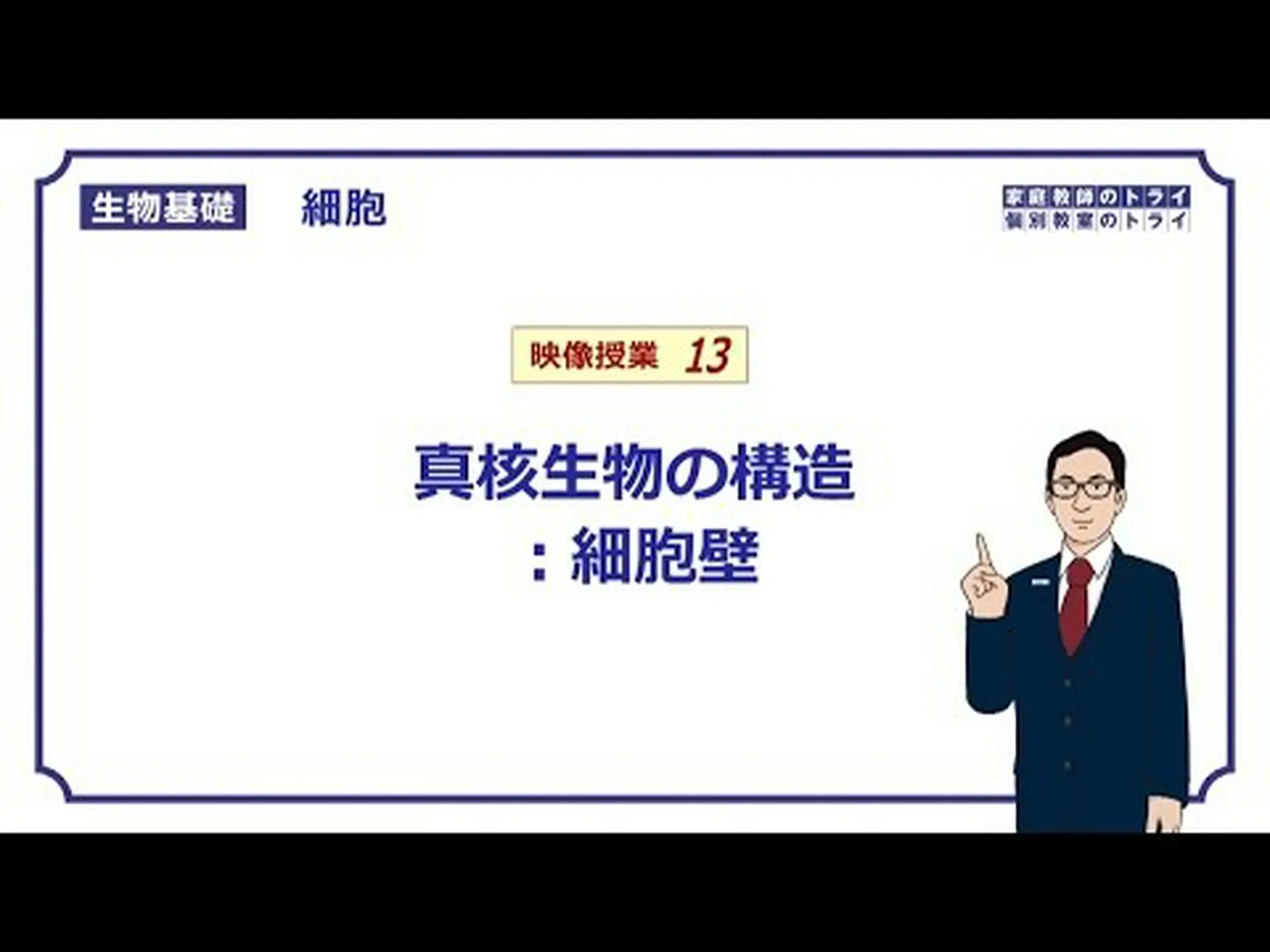 細胞壁タンパク質は結核菌が体中に広がるのを可能にします 細胞壁タンパク質は結核菌が体中に広がるのを可能にします