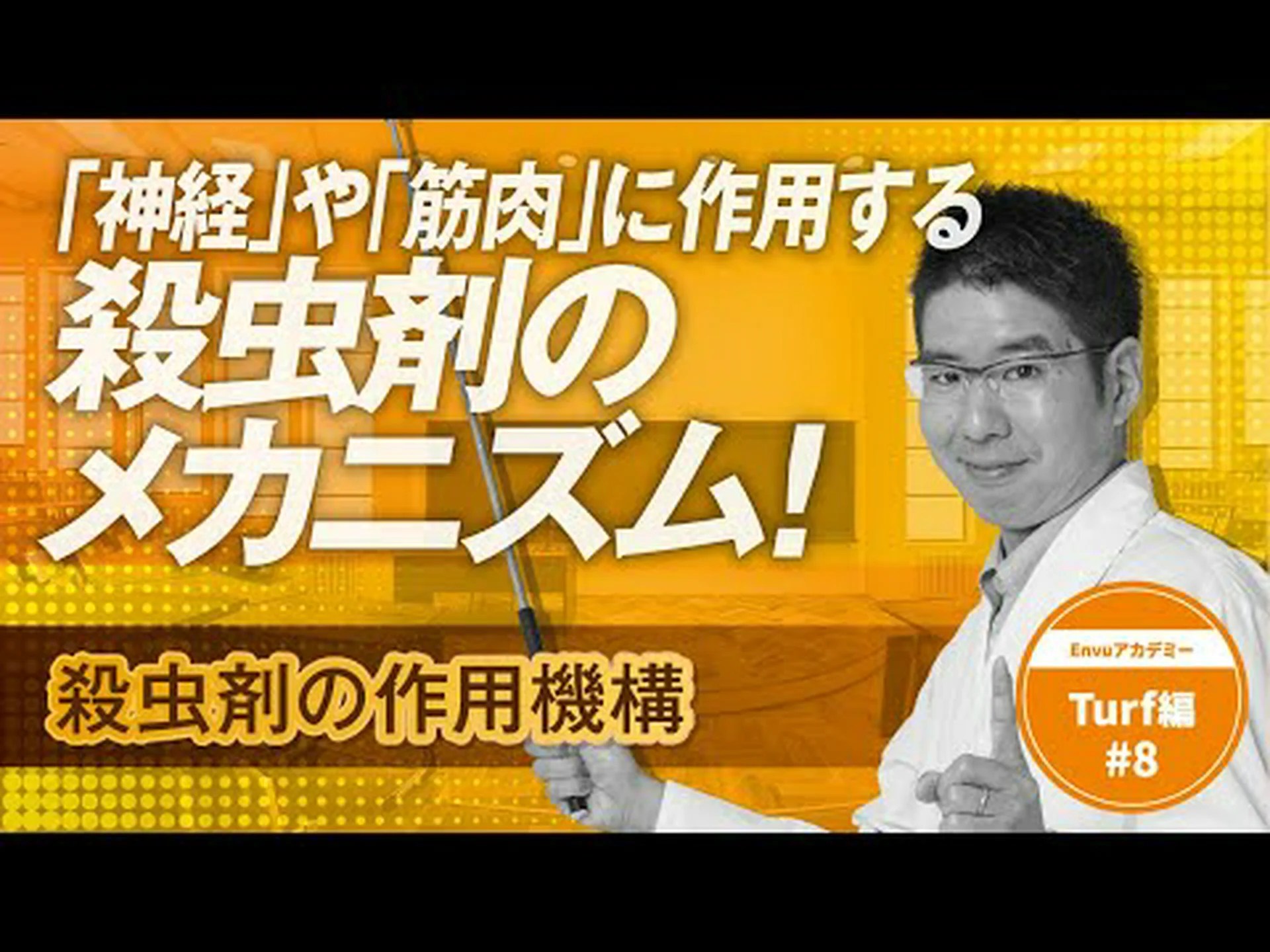 殺虫剤Btに対する耐性の分子機構を解明 殺虫剤Btに対する耐性の分子機構を解明
