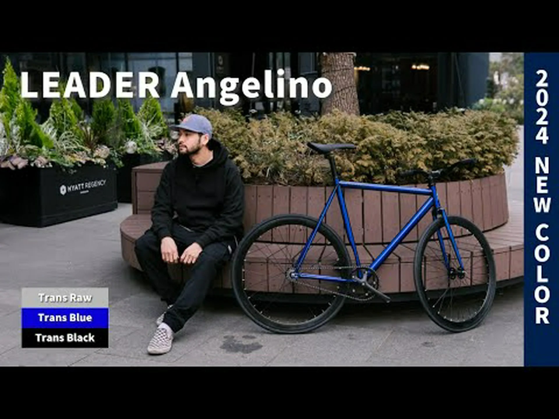 魅力的なルックス 魅力的なルックス