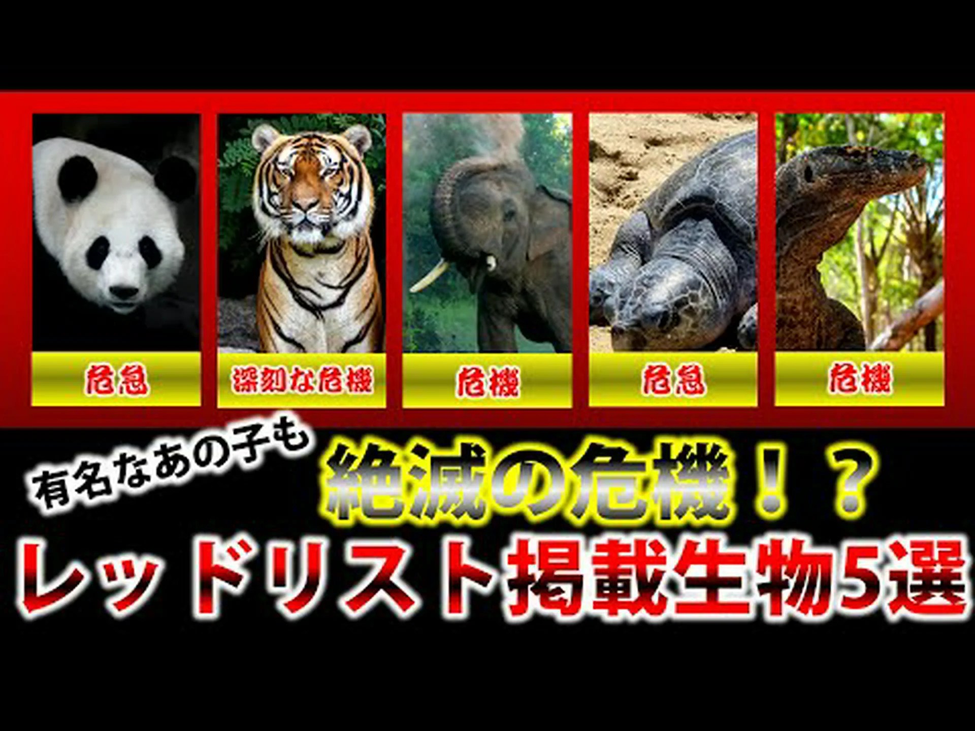 レッドリストはレッドリストに載っているのか? レッドリストはレッドリストに載っているのか?