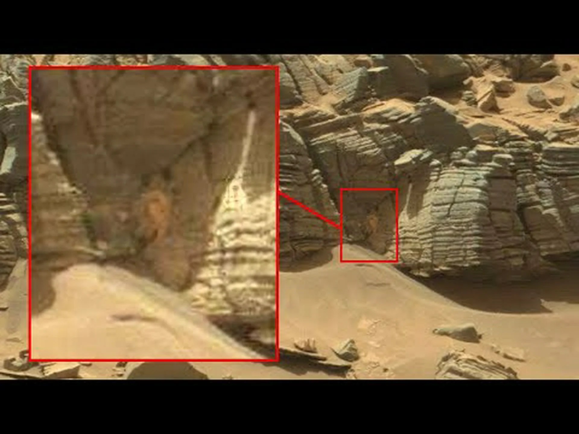 火星のような状況: 地下深くで発見されたコミュニティ 火星のような状況: 地下深くで発見されたコミュニティ