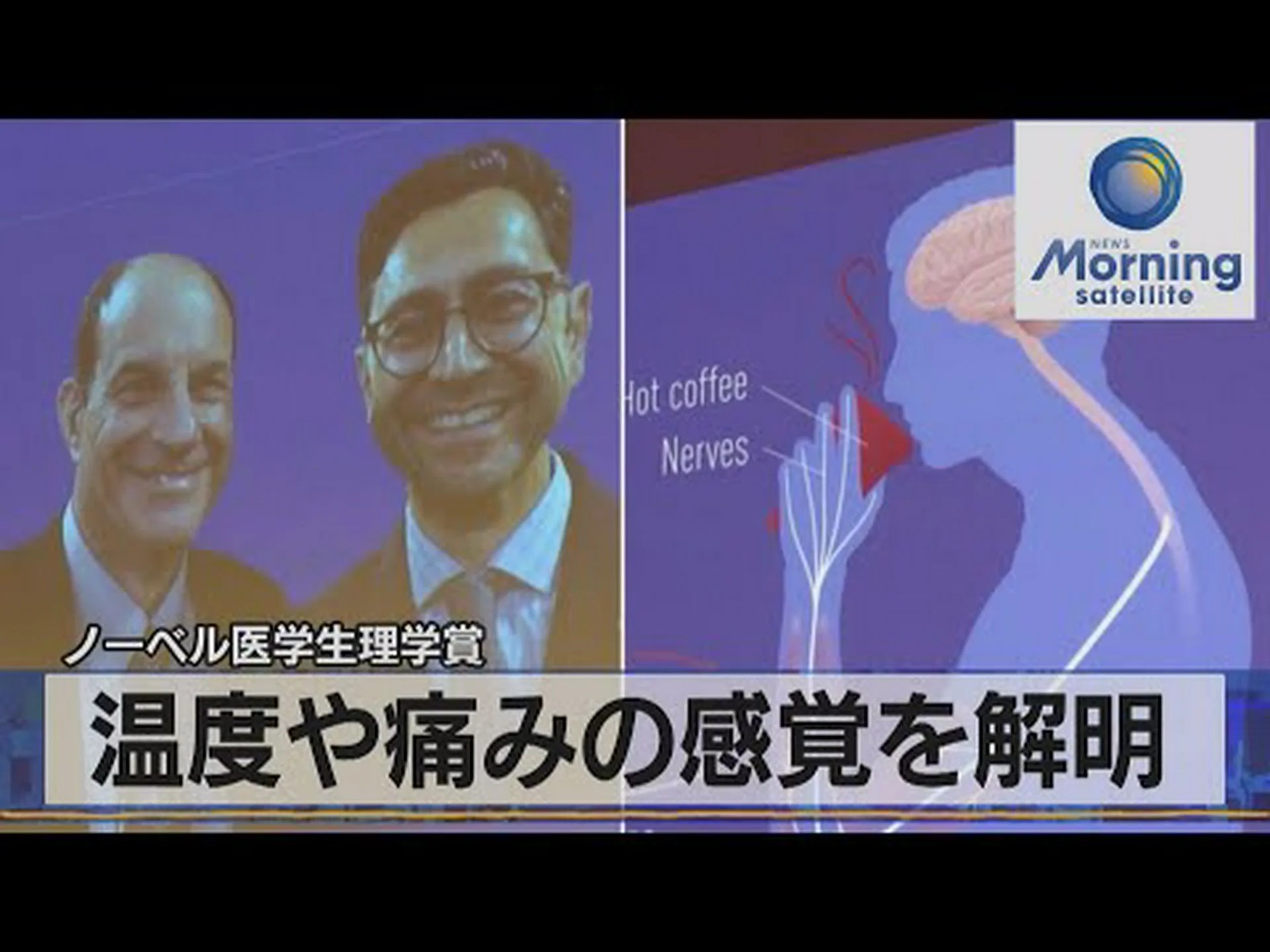 2005 年ノーベル医学賞: 火はどのようにして胃に入るのか 2005 年ノーベル医学賞: 火はどのようにして胃に入るのか