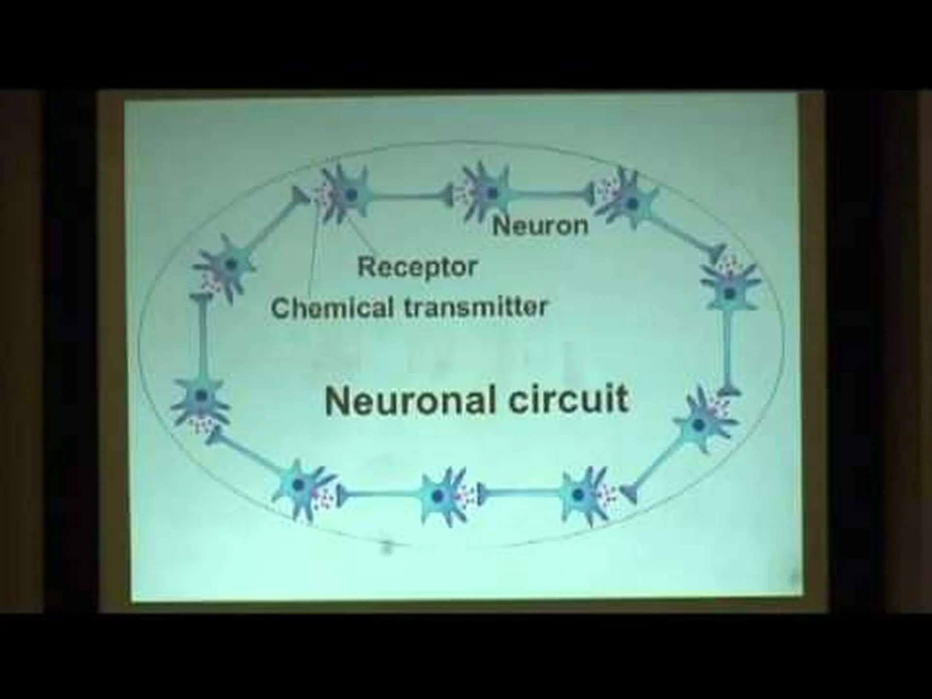 農薬が原因の自閉症 農薬が原因の自閉症