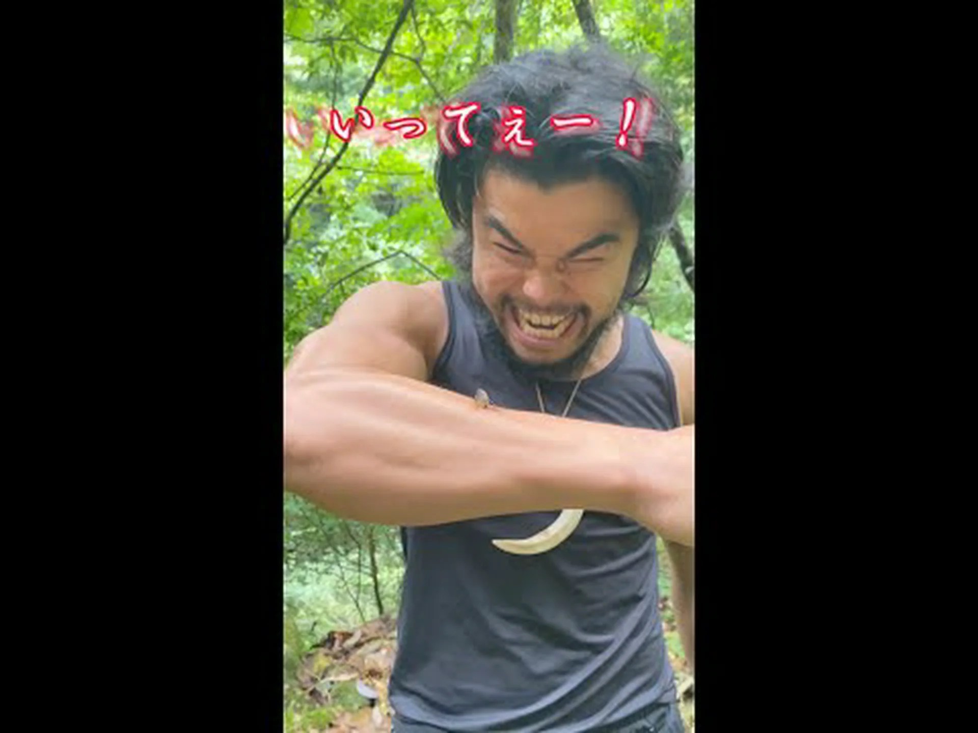 メスのクモの味覚が進化を促す メスのクモの味覚が進化を促す