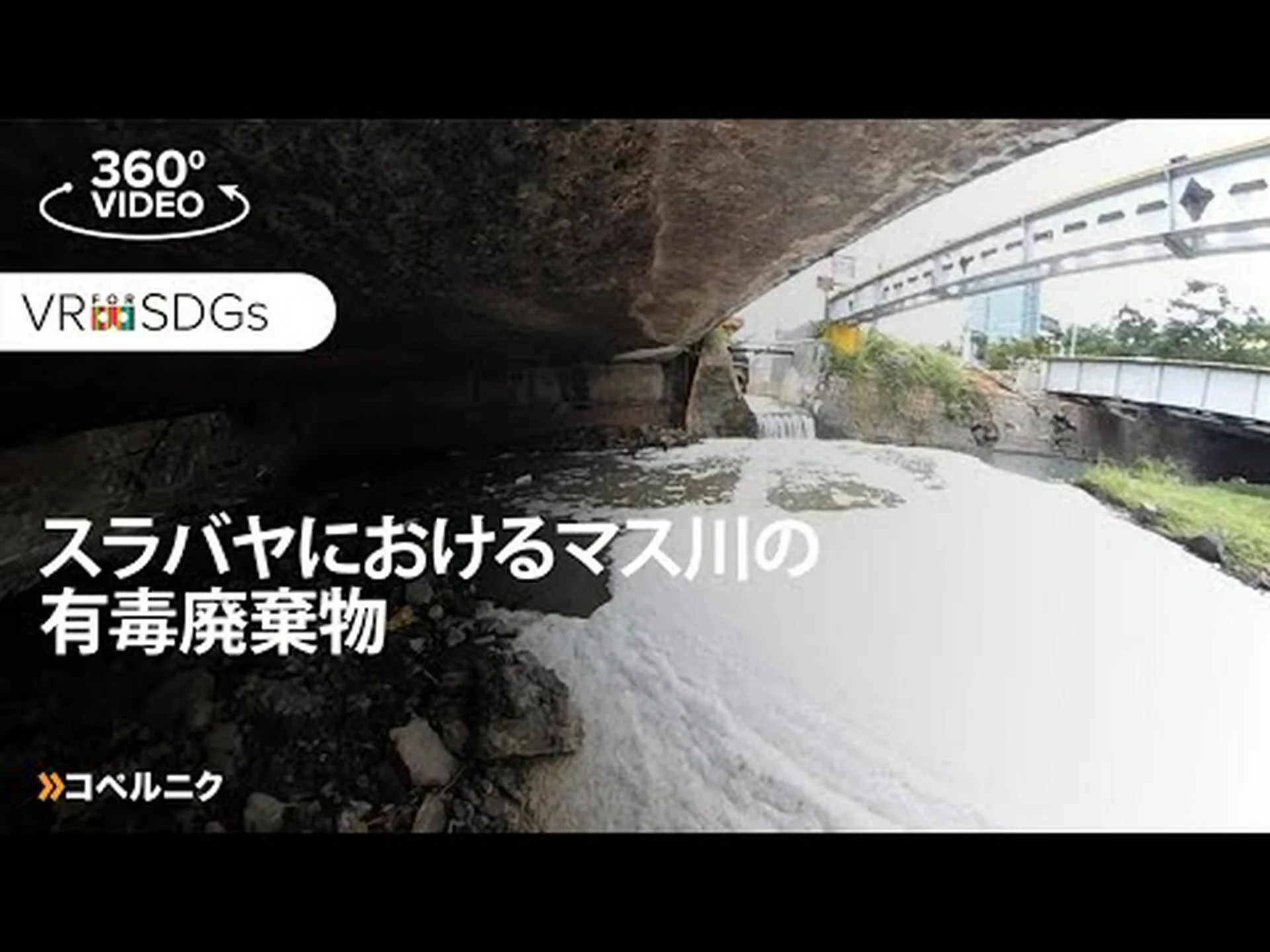 煉獄の有毒廃棄物 煉獄の有毒廃棄物