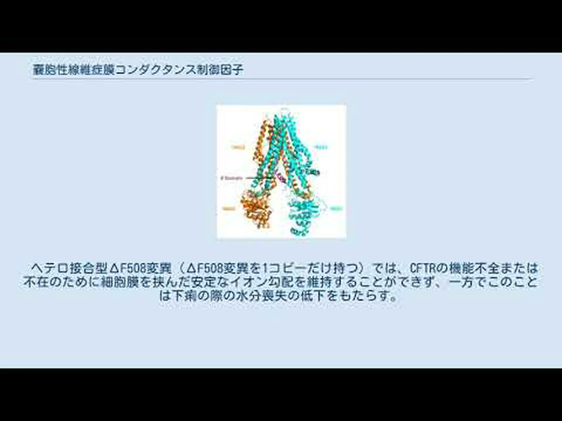 嚢胞性線維症に対する新しい遺伝子治療:ウイルスがミニ遺伝子を肺細胞に導入する 嚢胞性線維症に対する新しい遺伝子治療:ウイルスがミニ遺伝子を肺細胞に導入する