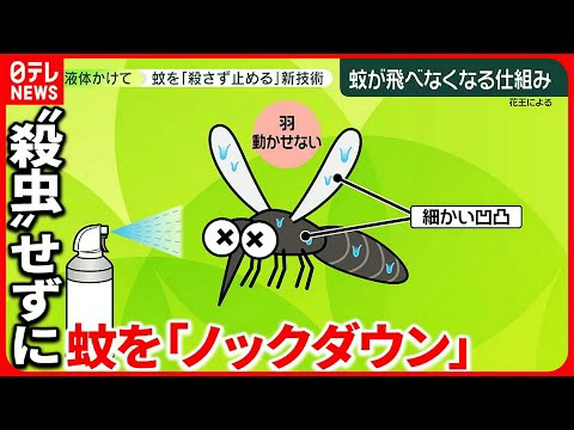 蚊よけ剤の暗い側面 蚊よけ剤の暗い側面