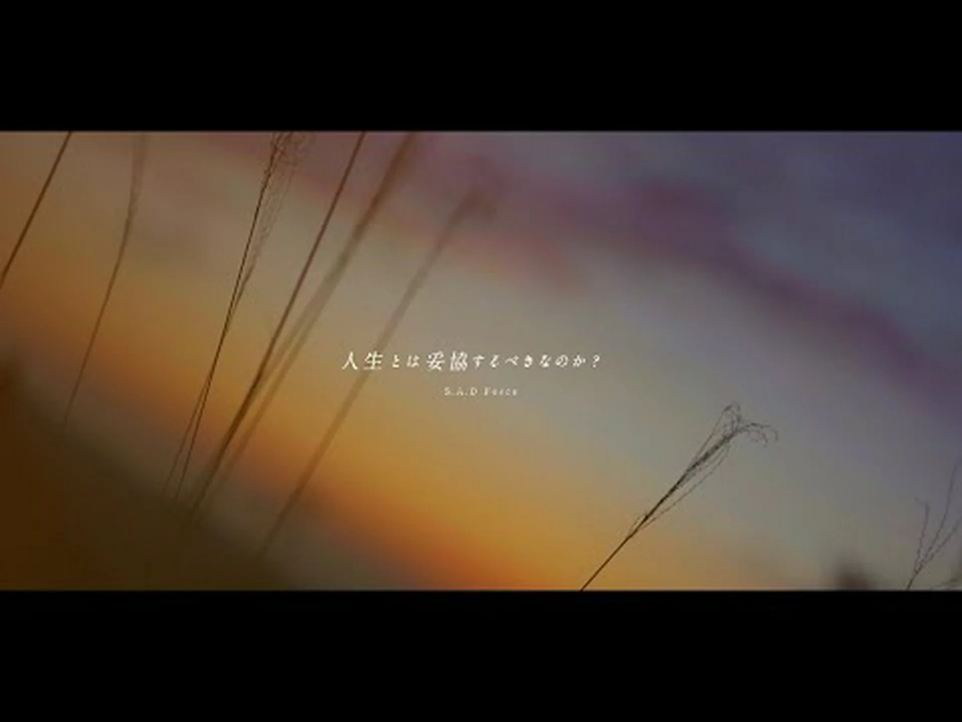 リズムを与える細胞は妥協する リズムを与える細胞は妥協する