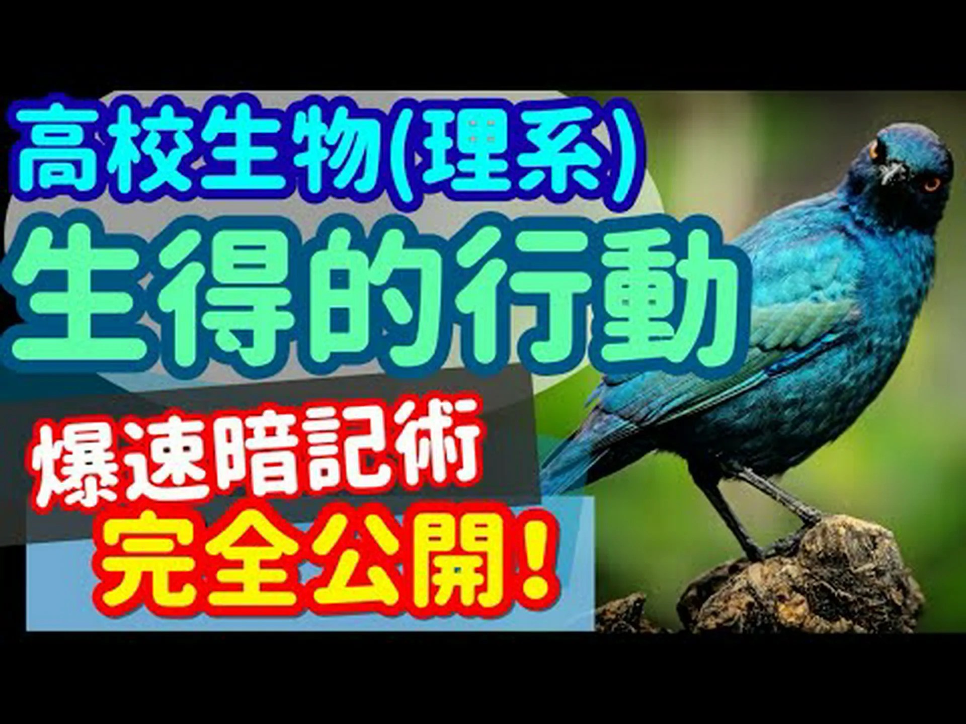今週のビデオ: 動物の反射 今週のビデオ: 動物の反射
