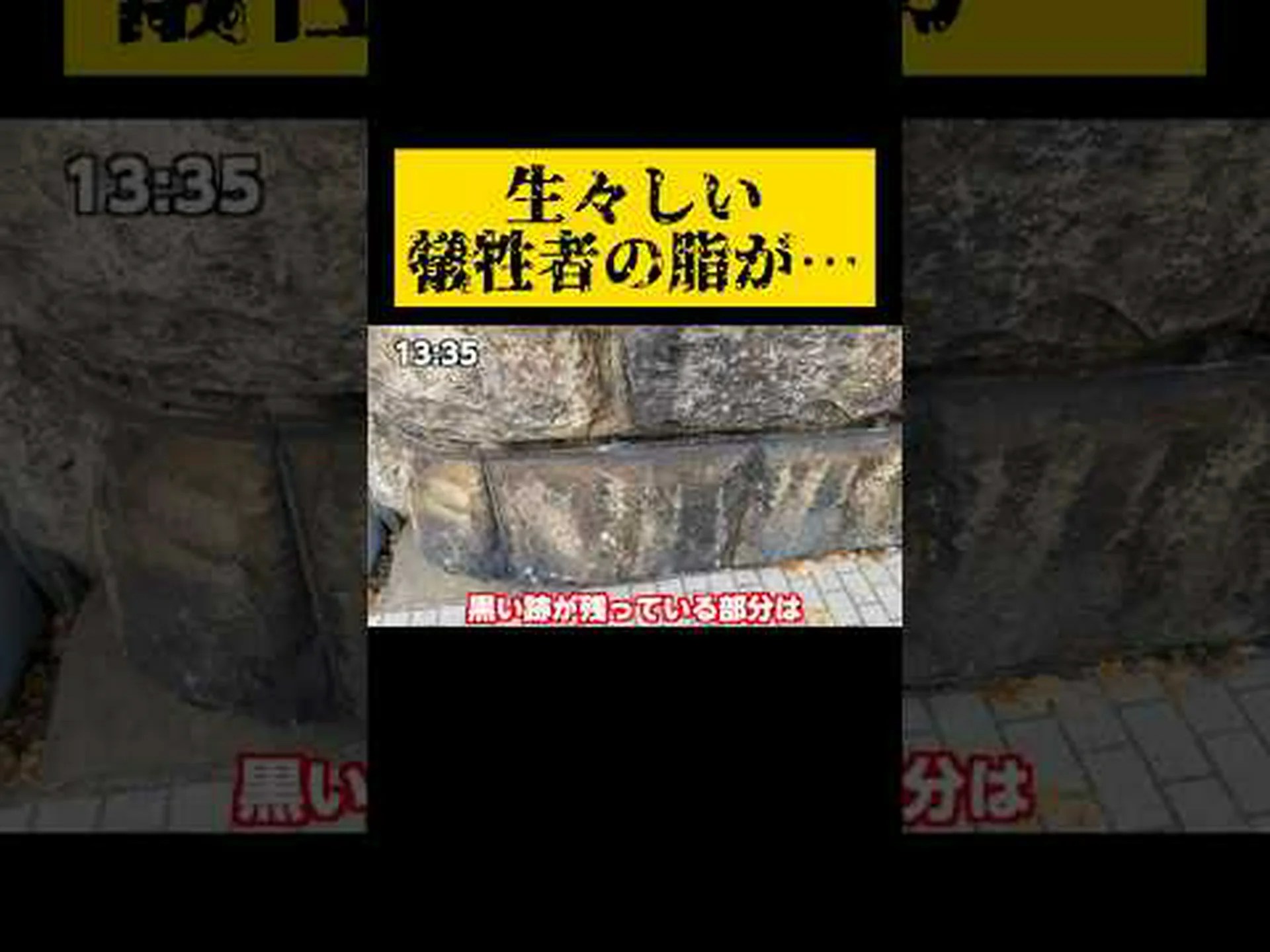 クリスマスクッキーでムードメーカー – 子供の頃からの挨拶を送りましょう クリスマスクッキーでムードメーカー – 子供の頃からの挨拶を送りましょう