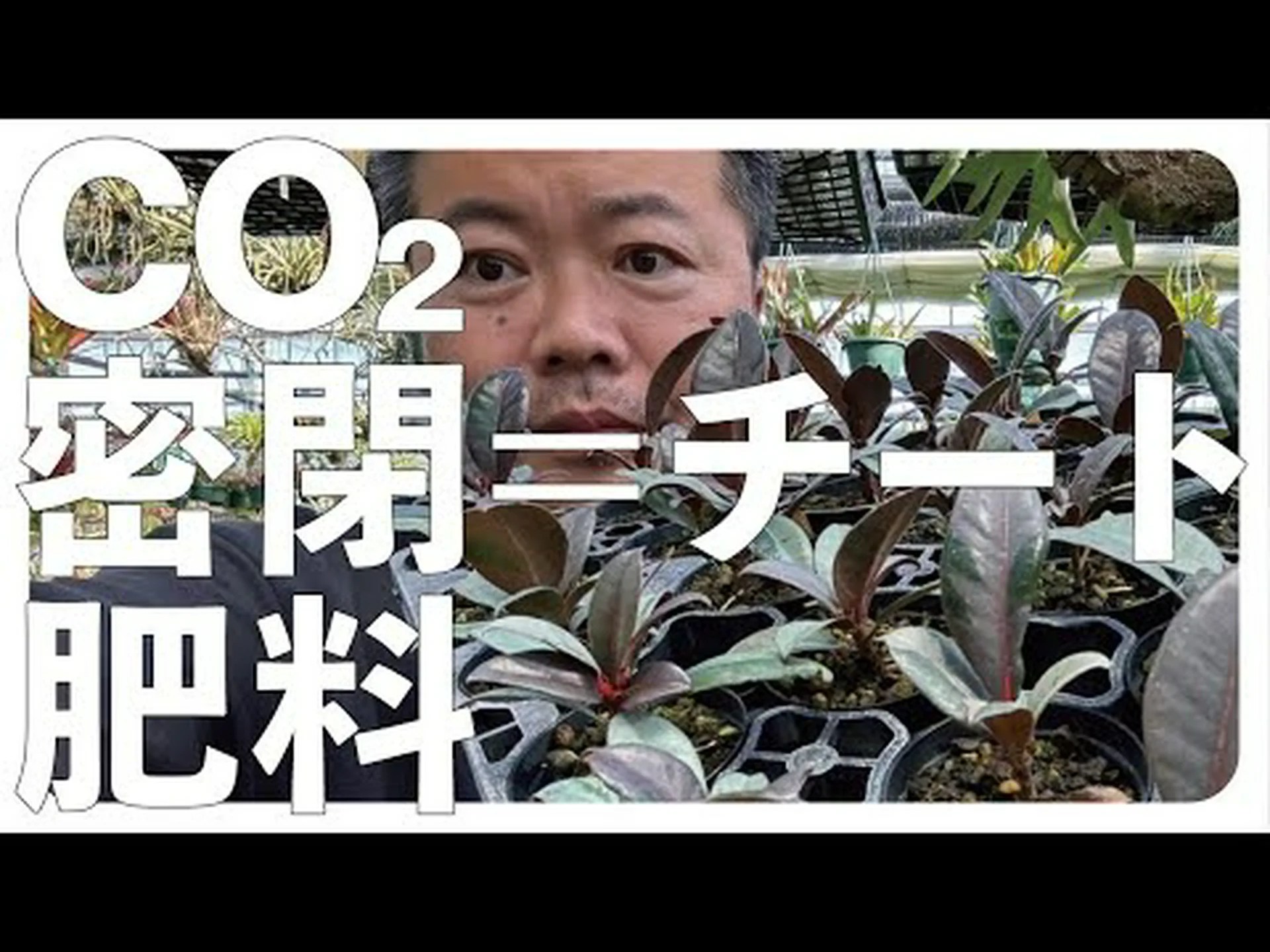 植物はさまざまな方法で有効成分を生産します 植物はさまざまな方法で有効成分を生産します