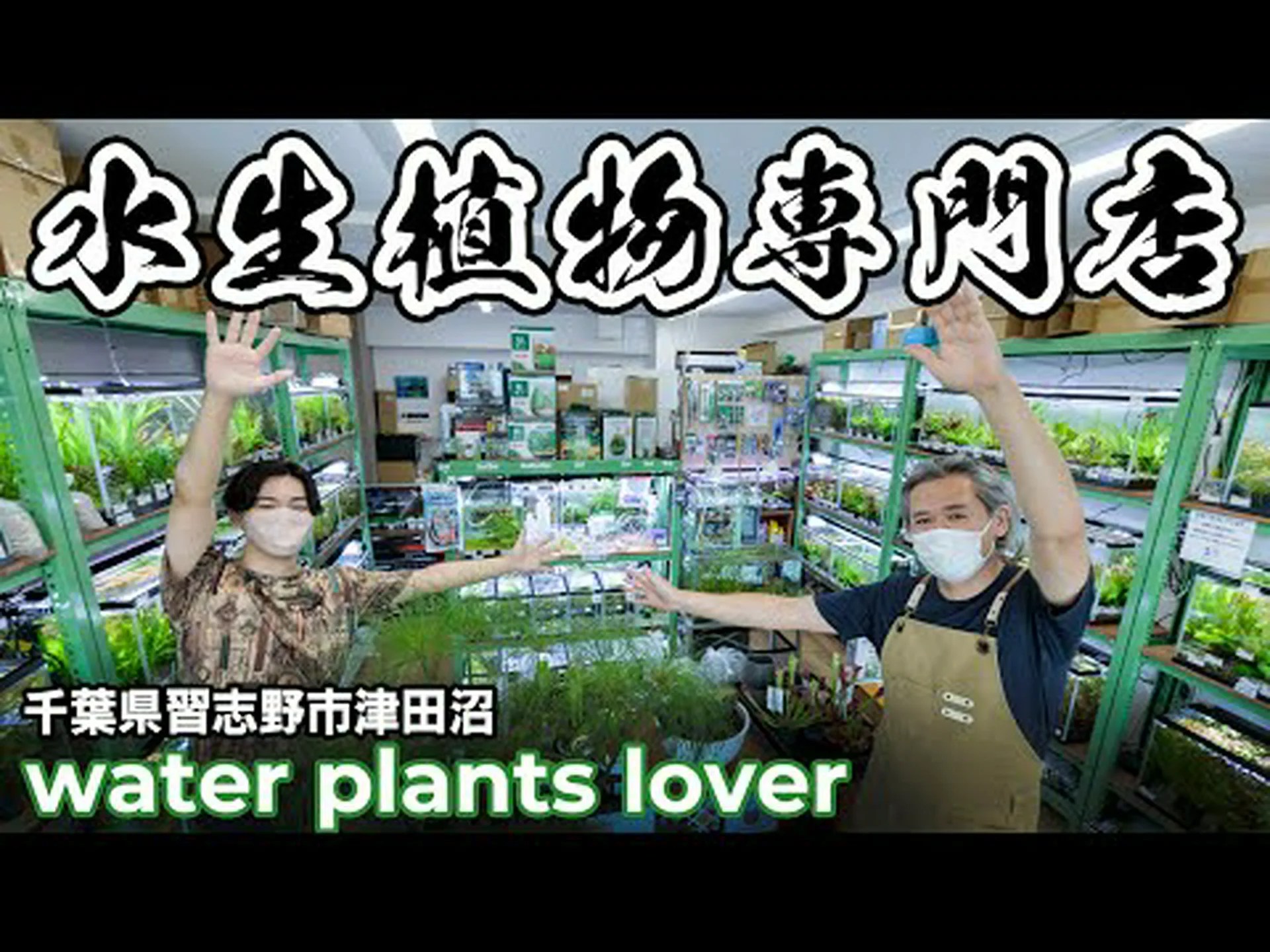 水生植物の群生を持つキャバリア 水生植物の群生を持つキャバリア