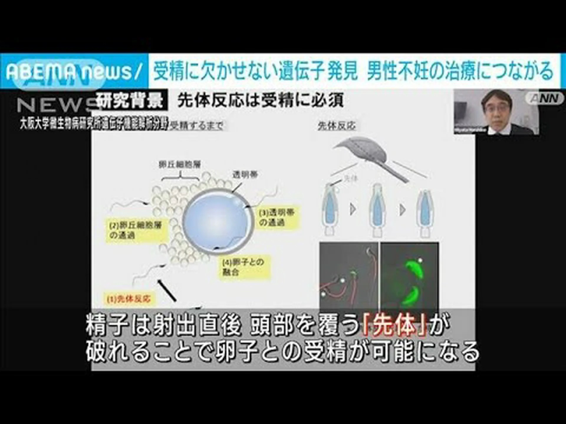 研究者は精子の遺伝子検査に取り組んでいます 研究者は精子の遺伝子検査に取り組んでいます