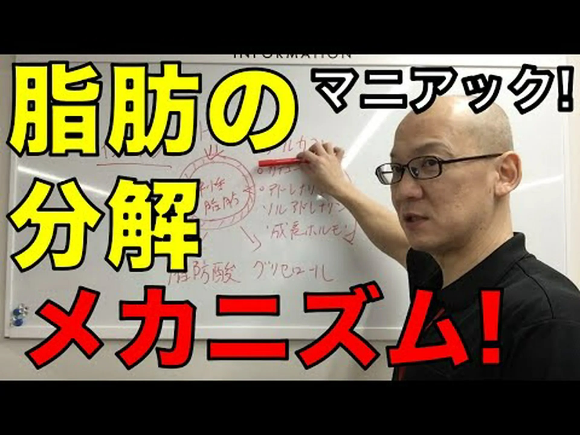研究者らは特に脂肪生成を制御したいと考えている 研究者らは特に脂肪生成を制御したいと考えている