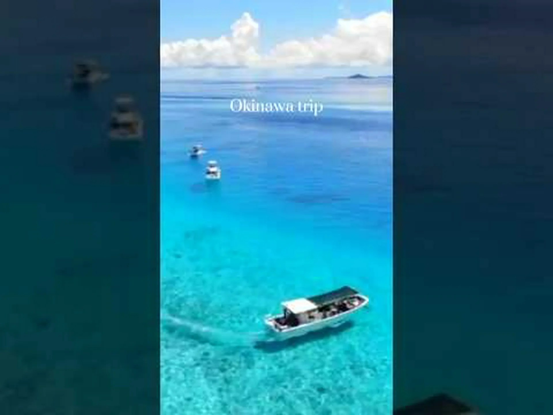 サンゴ礁の多忙な生活 サンゴ礁の多忙な生活