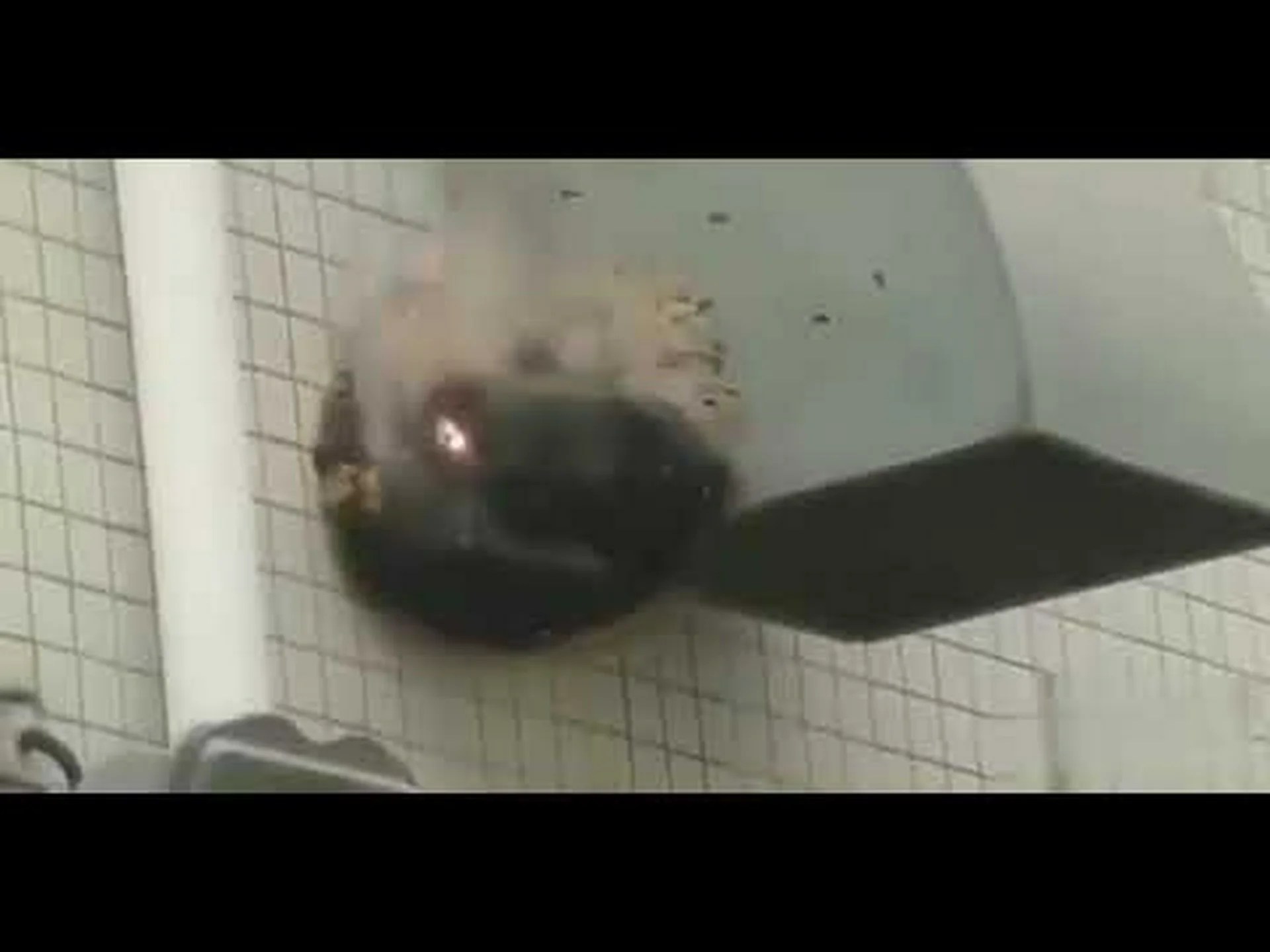 カエルを殺す殺虫剤として カエルを殺す殺虫剤として