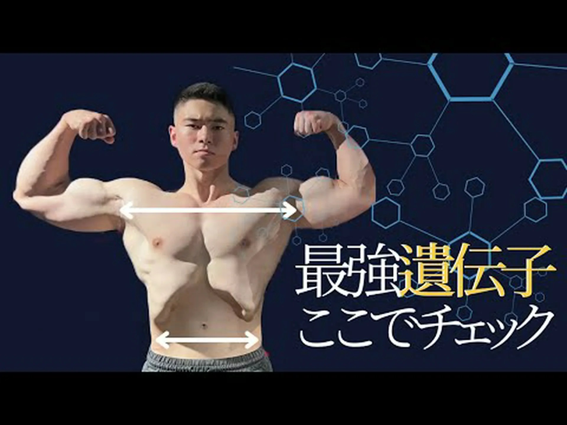 遺伝子のトレーニング 遺伝子のトレーニング