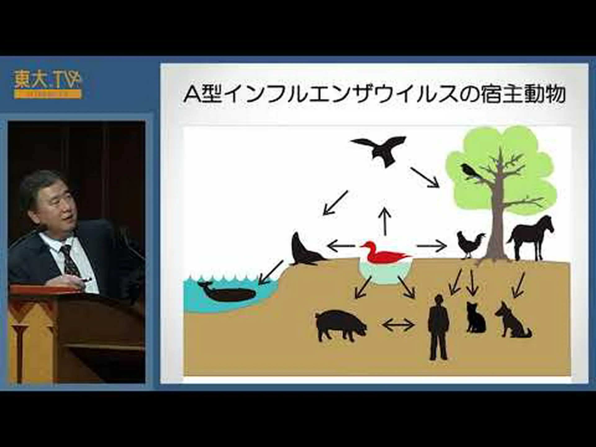 パンデミックの可能性がある鳥インフルエンザ パンデミックの可能性がある鳥インフルエンザ