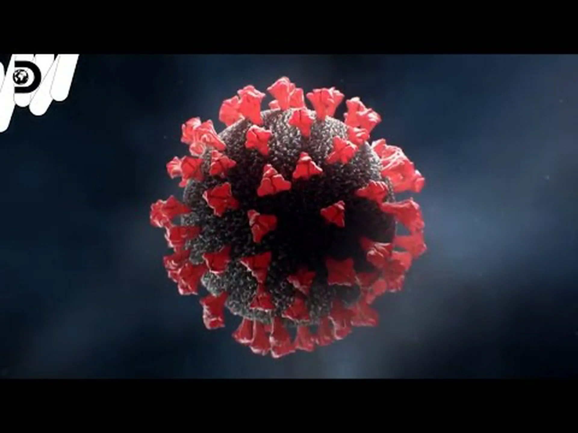 細菌を狩る際に先を行く 細菌を狩る際に先を行く