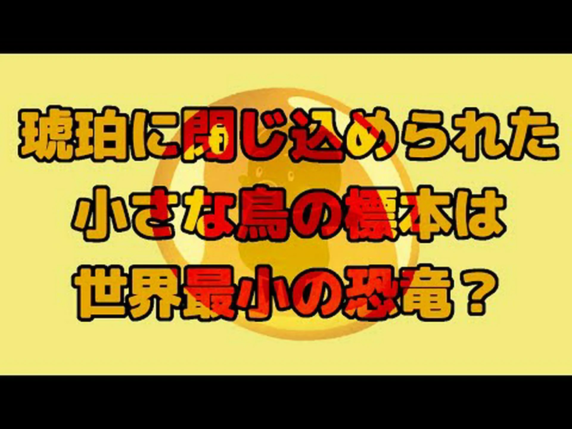 琥珀の中のハチドリの小さな恐竜 琥珀の中のハチドリの小さな恐竜