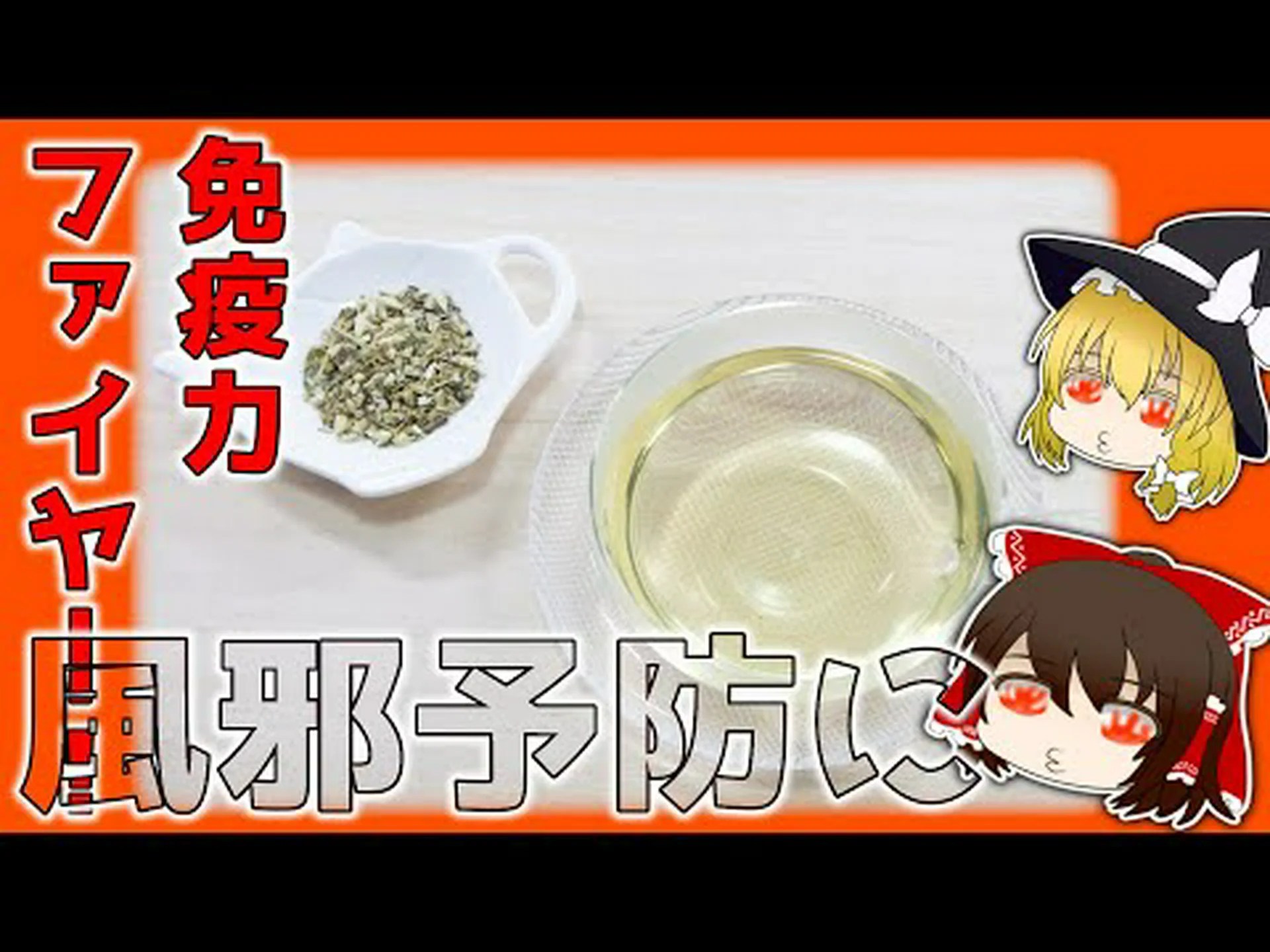 新しい研究:エキナセアは風邪には効果がない 新しい研究:エキナセアは風邪には効果がない