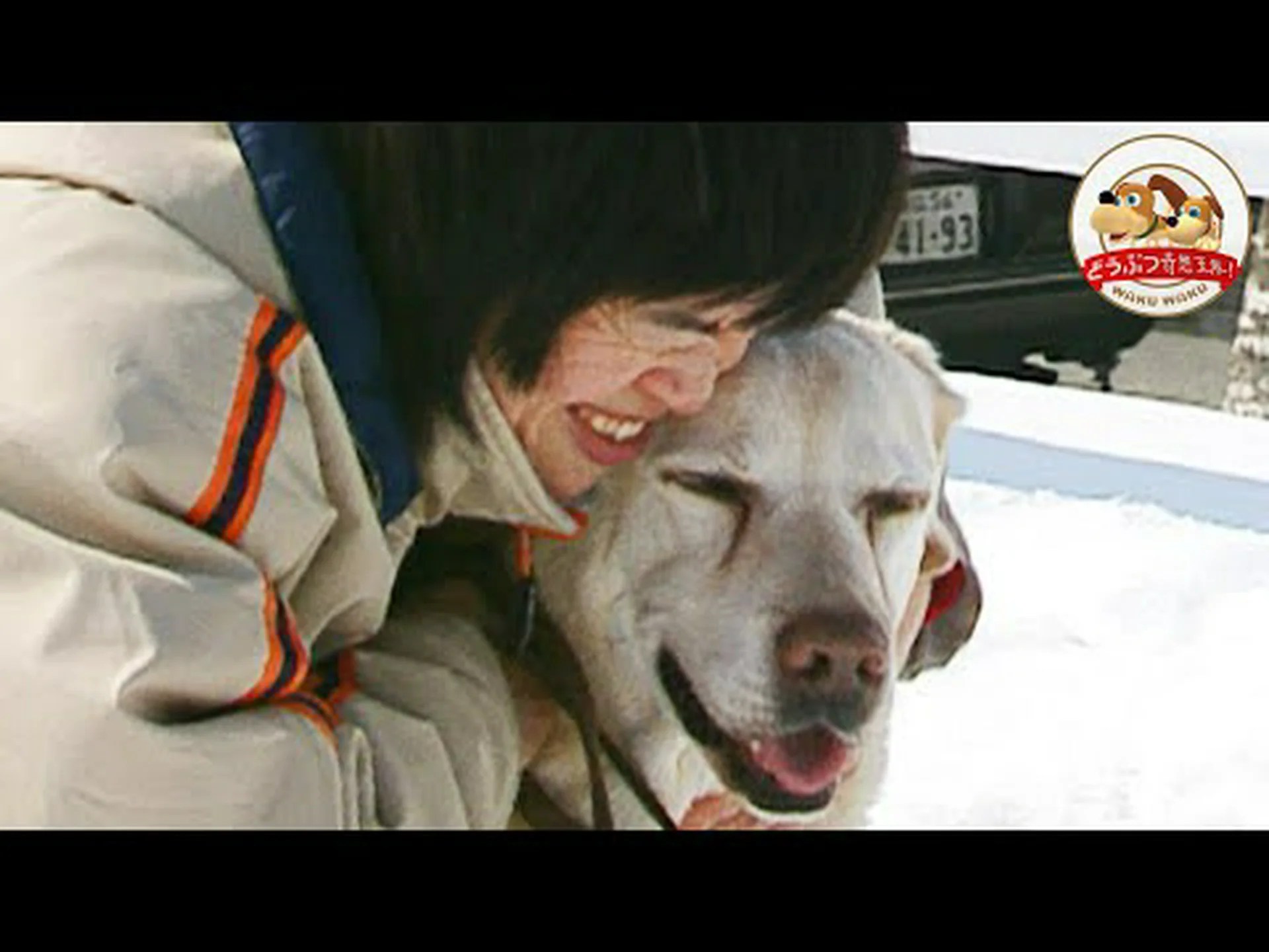 成功した盲導犬にはリラックスした母親がいる 成功した盲導犬にはリラックスした母親がいる