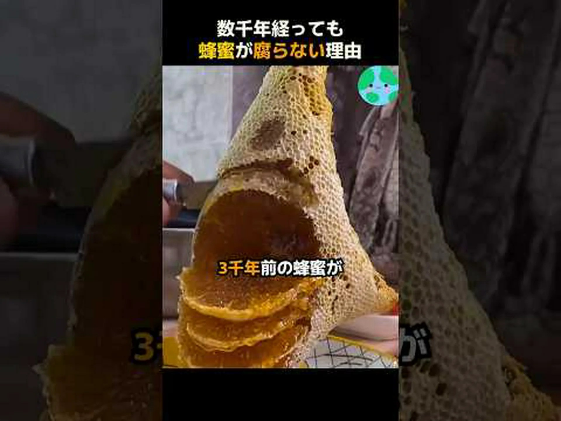 ミツバチは敵を牢獄に入れる ミツバチは敵を牢獄に入れる