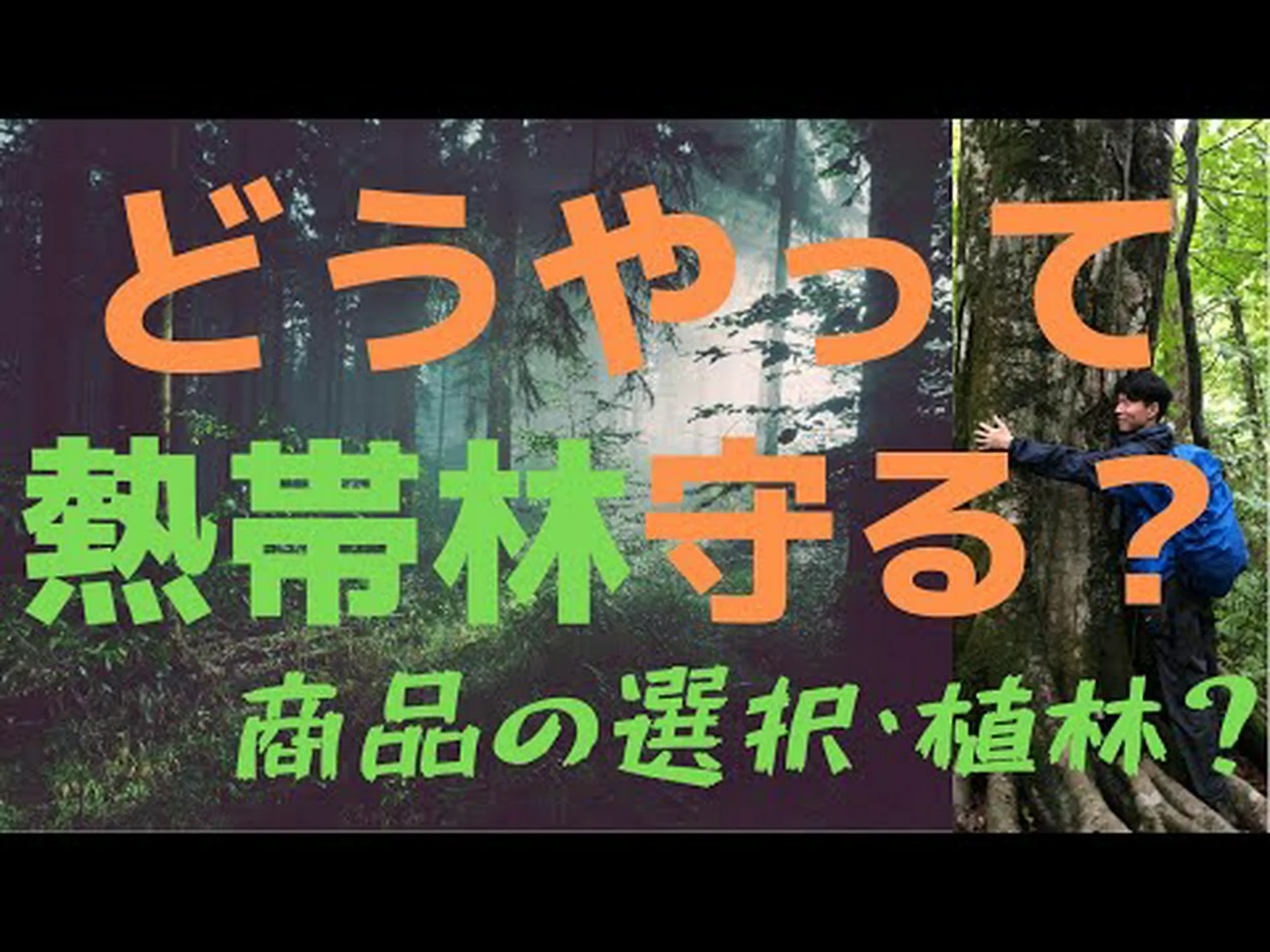これが熱帯林を回復する最善の方法です これが熱帯林を回復する最善の方法です